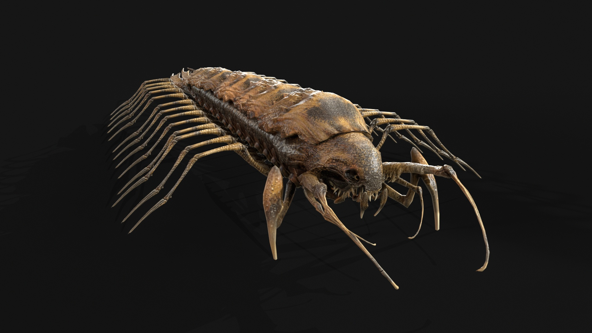Cave Centipede 3D Model