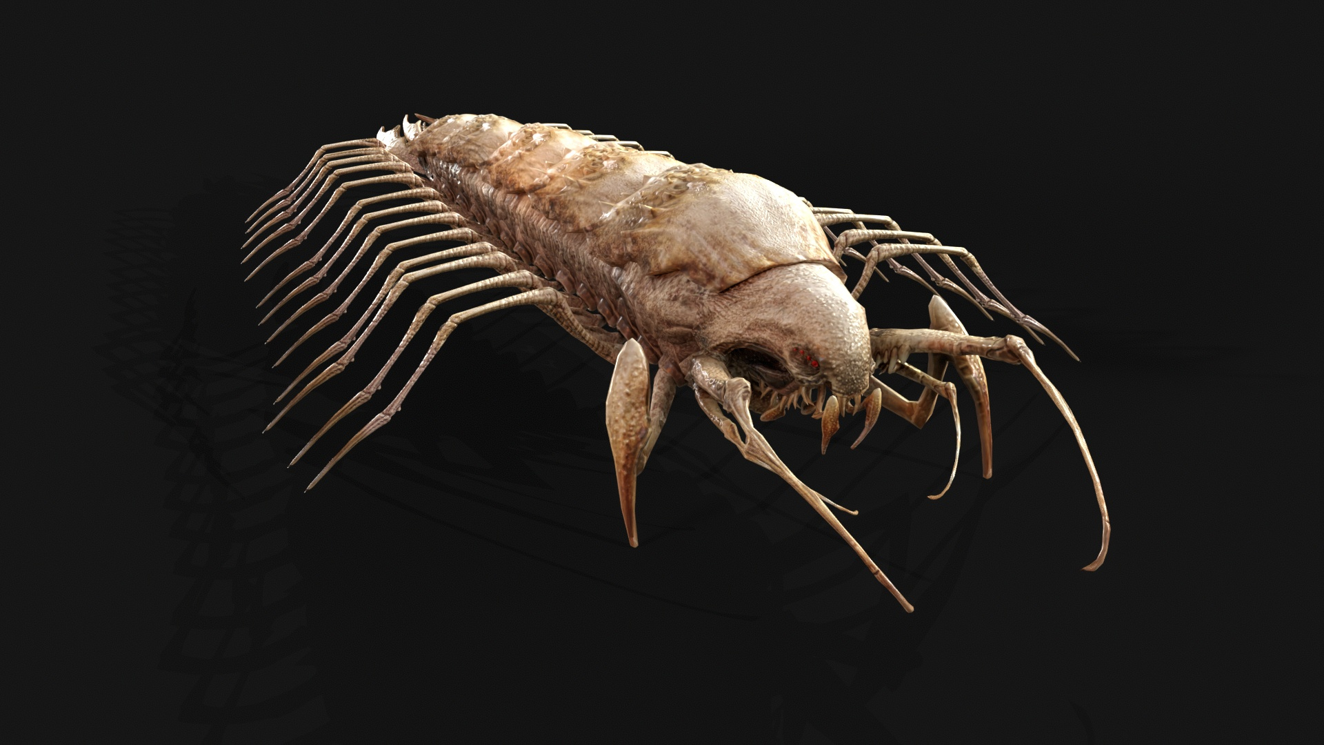 Cave Centipede 3D Model