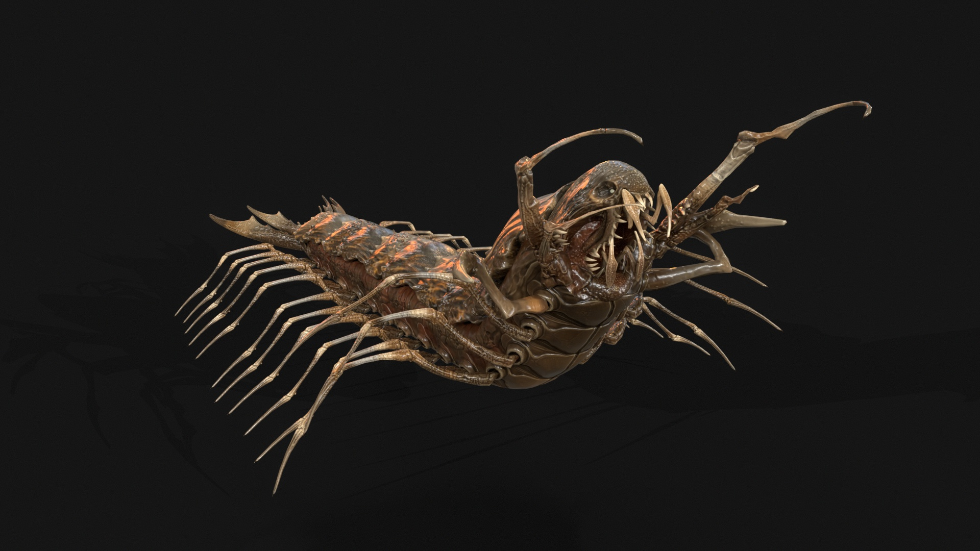 Cave Centipede 3D Model