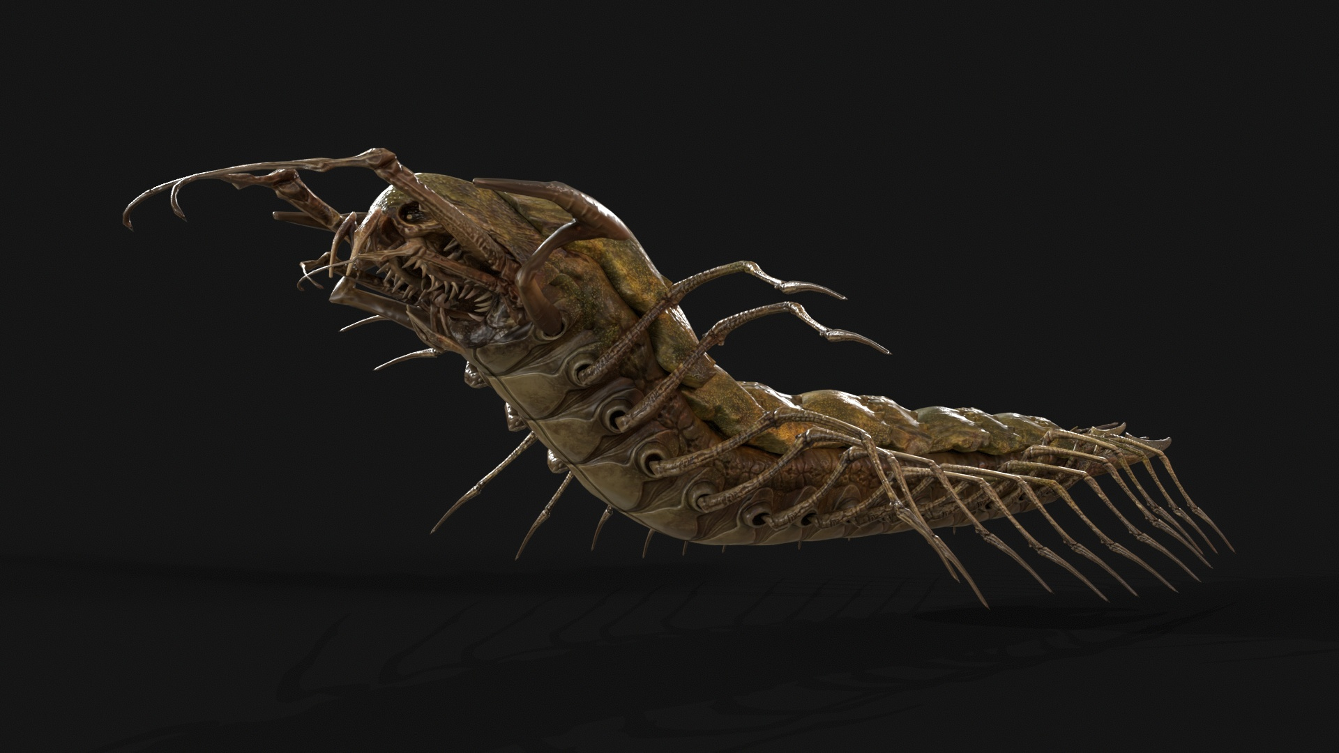 Cave Centipede 3D Model