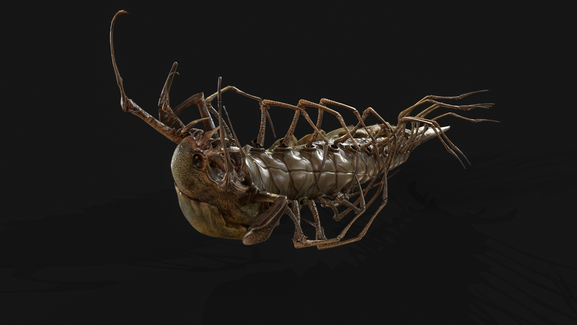 Cave Centipede 3D Model