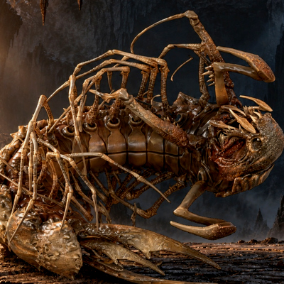 Cave Centipede