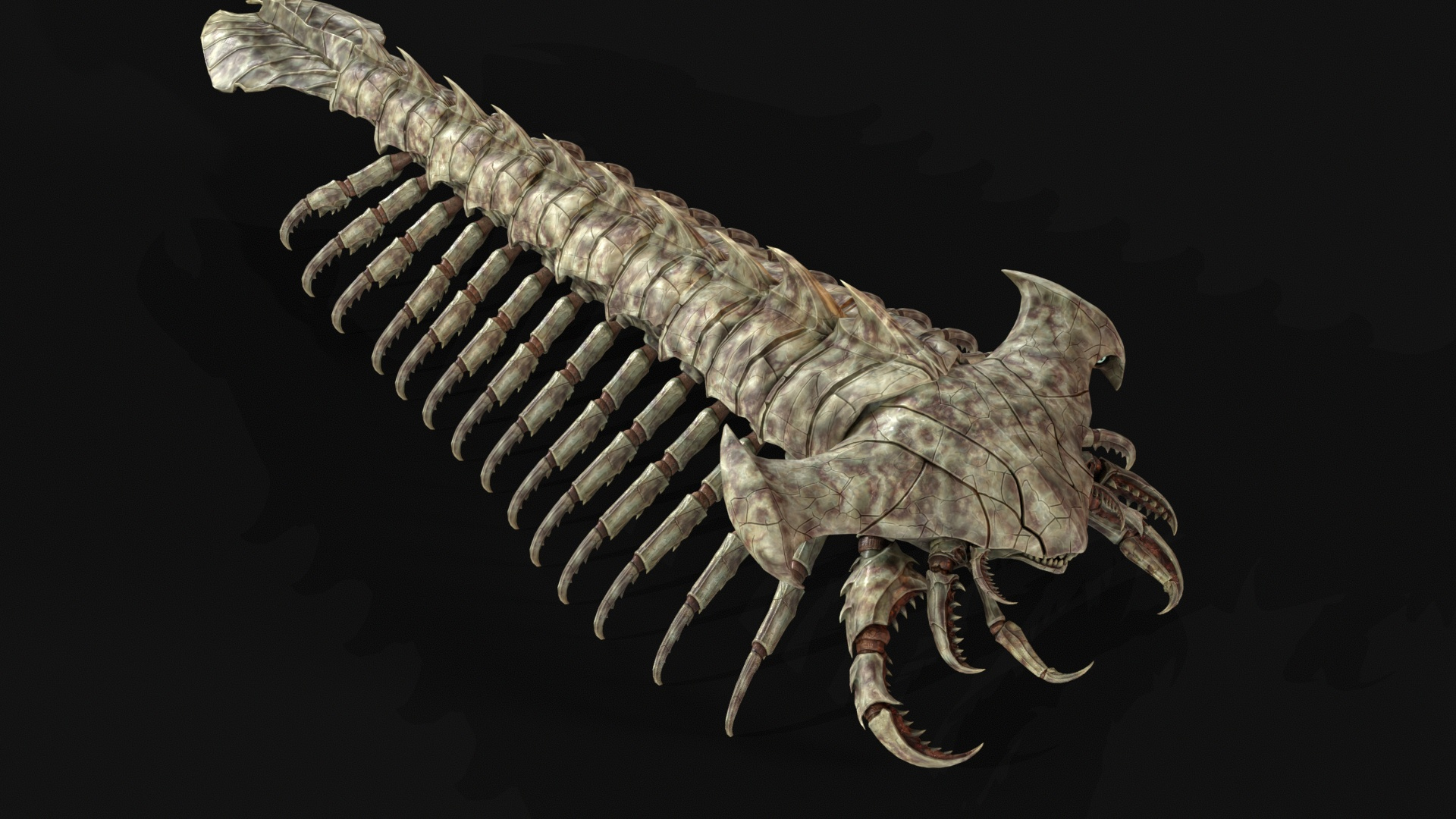 Giant Sea Centipede 3D Model