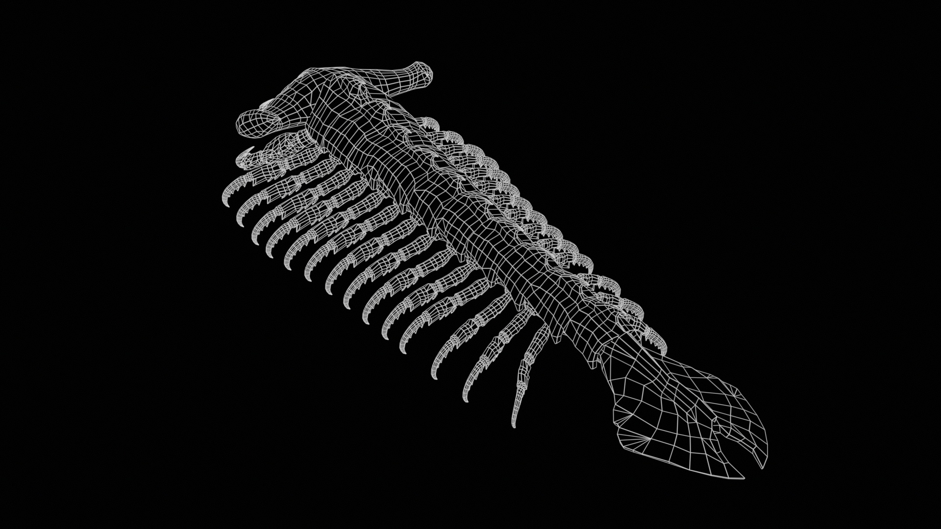 Giant Sea Centipede 3D Model
