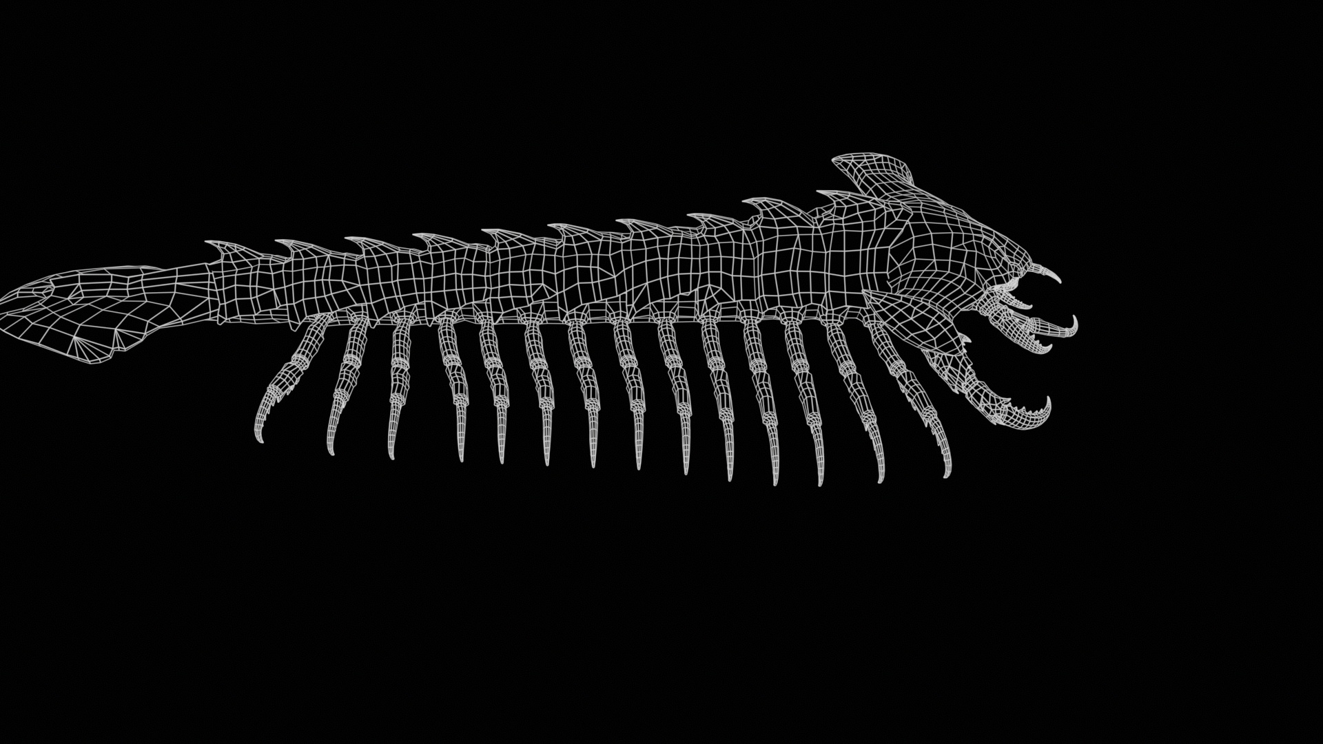 Giant Sea Centipede 3D Model