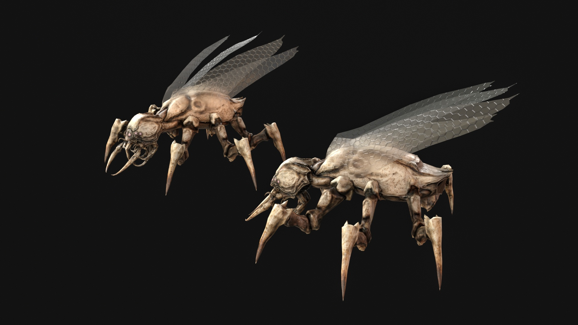 Land Bug Pack1 3D Model
