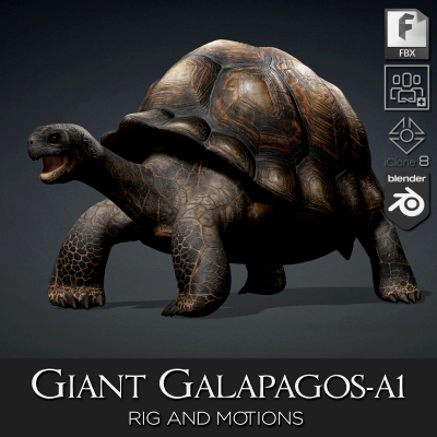Giant Galapagos-A1
