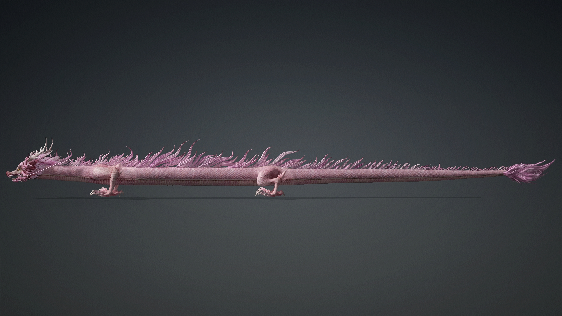 Roselyth Dragon-D4 3D Model