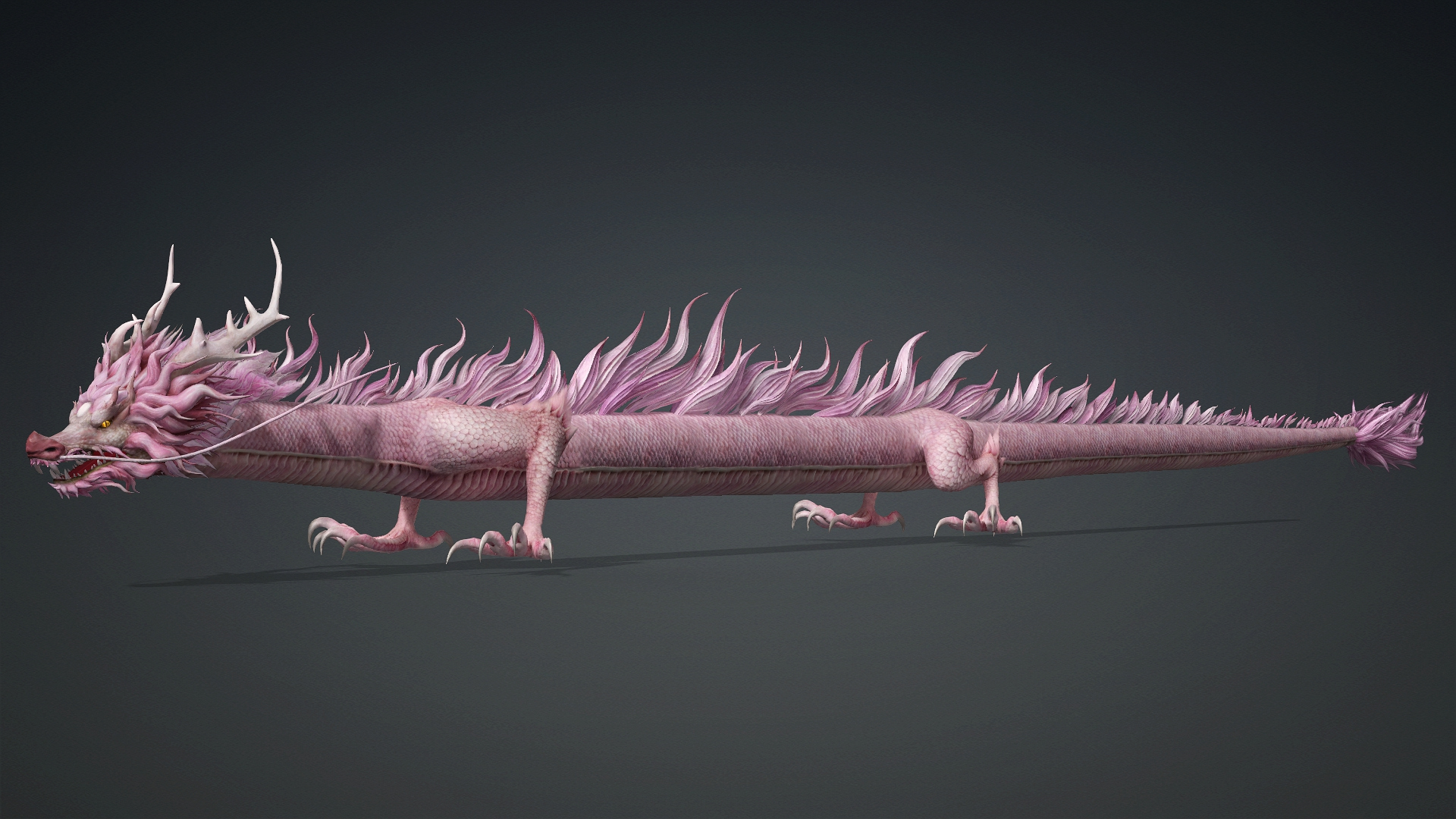 Roselyth Dragon-D4 3D Model