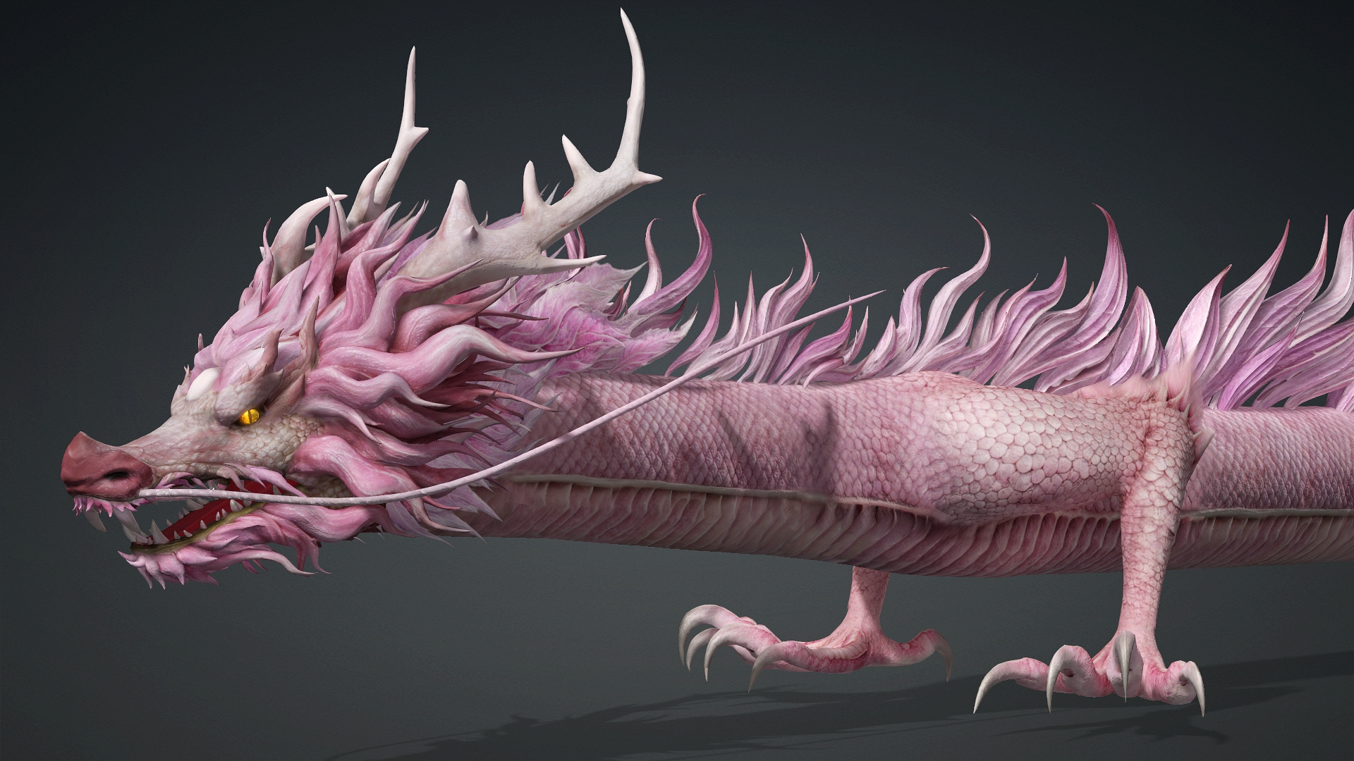 Roselyth Dragon-D4 3D Model
