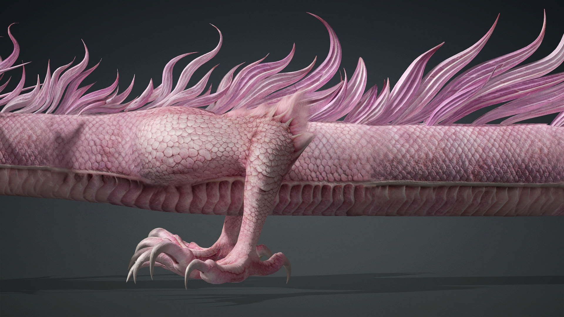 Roselyth Dragon-D4 3D Model