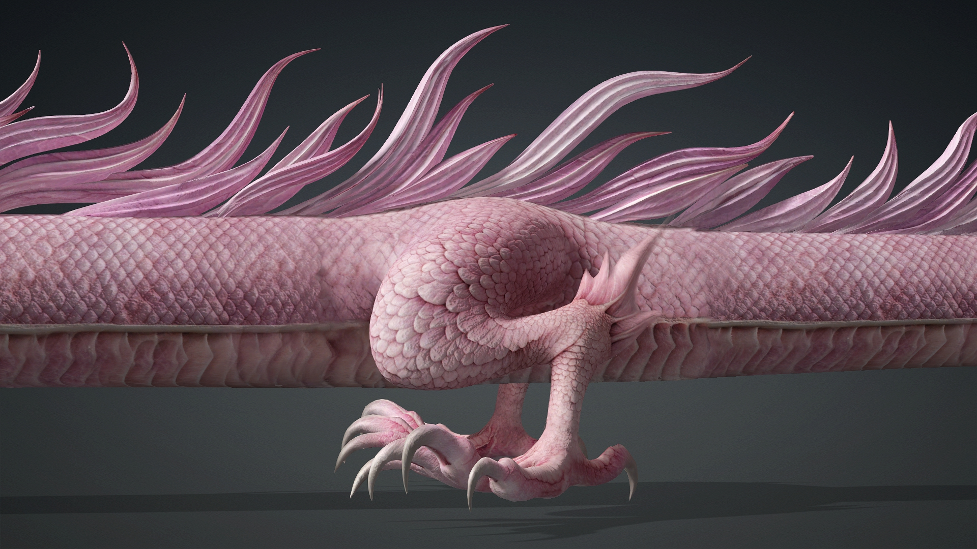 Roselyth Dragon-D4 3D Model