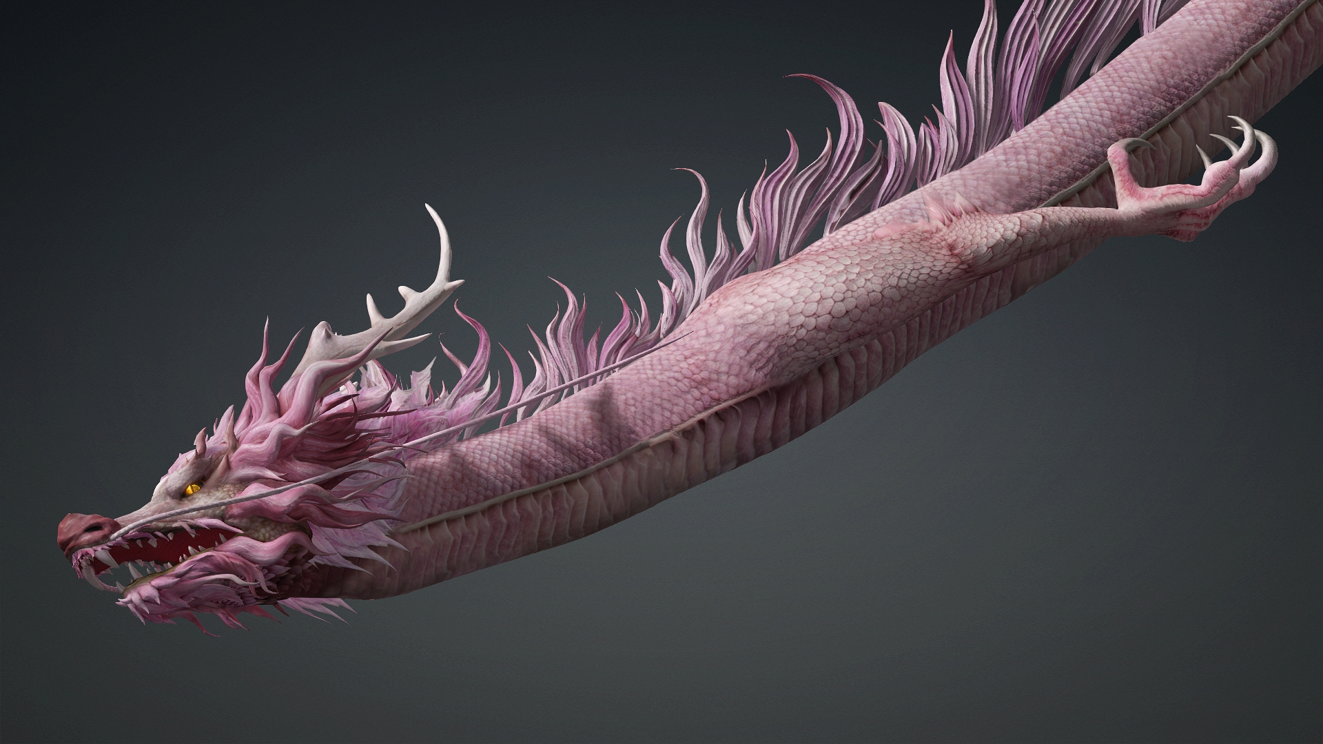 Roselyth Dragon-D4 3D Model