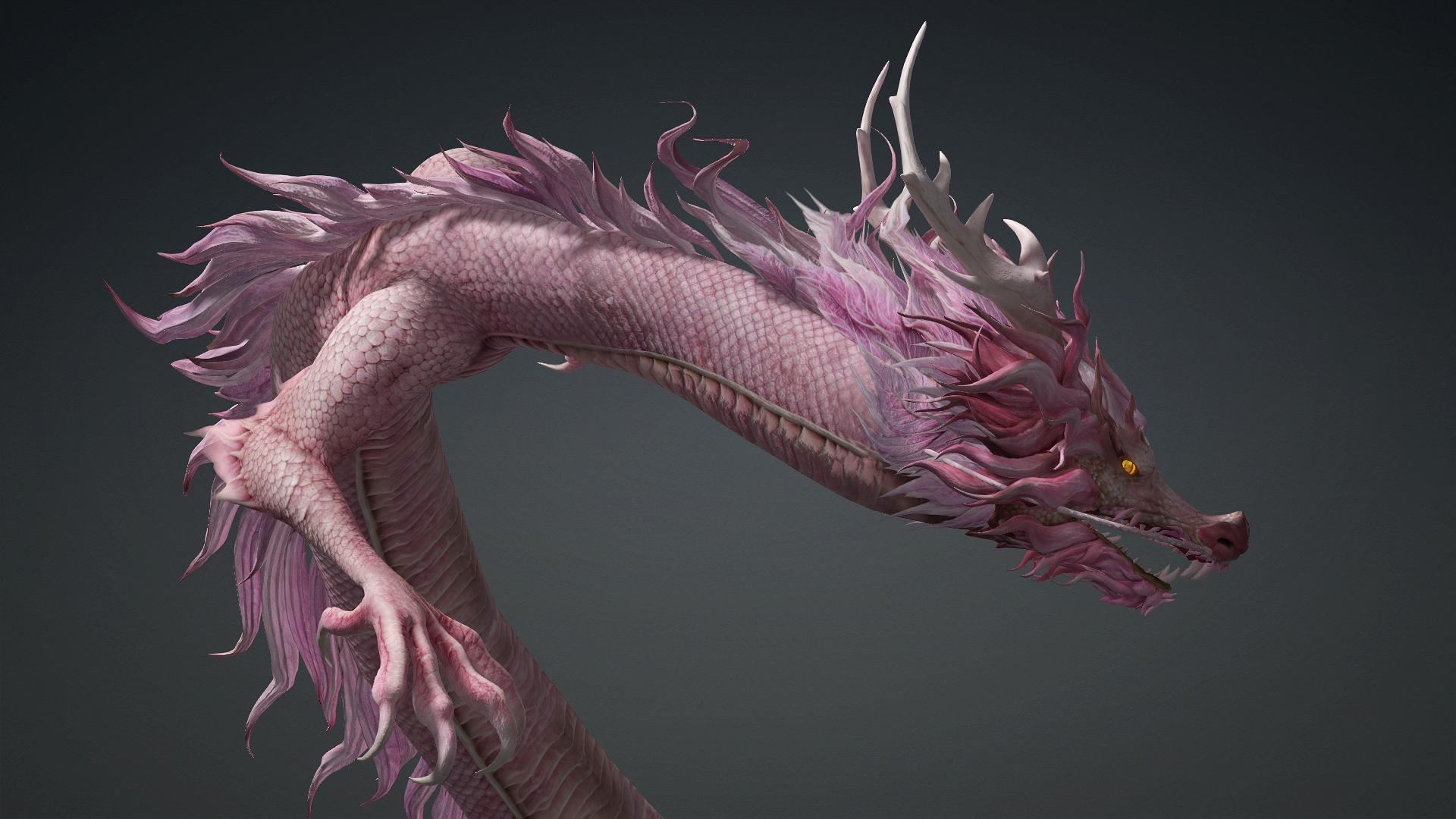 Roselyth Dragon-D4 3D Model