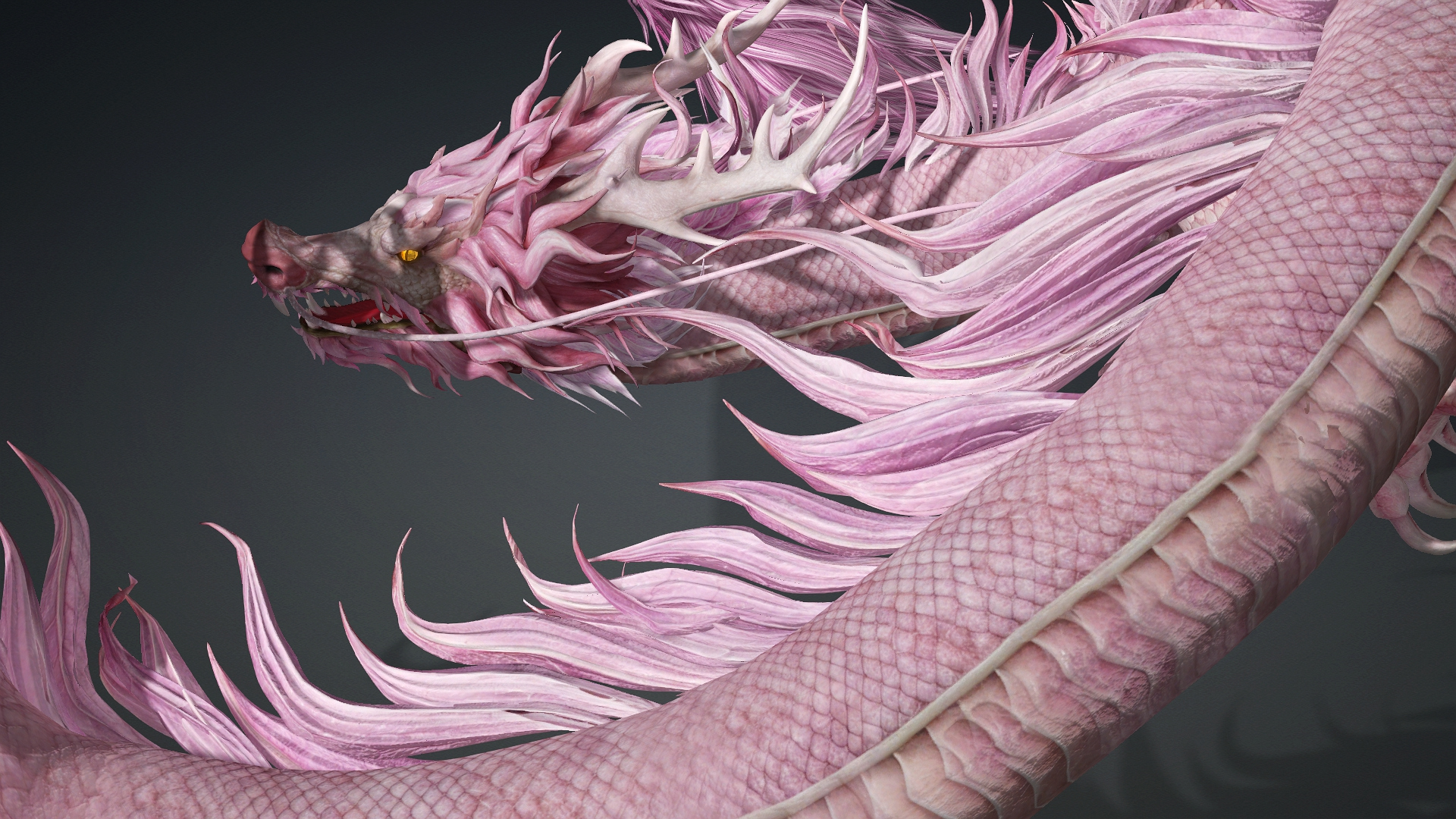 Roselyth Dragon-D4 3D Model