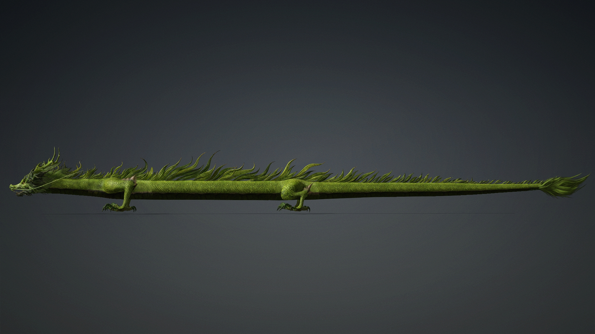 Verdanox Dragon-D5 3D Model