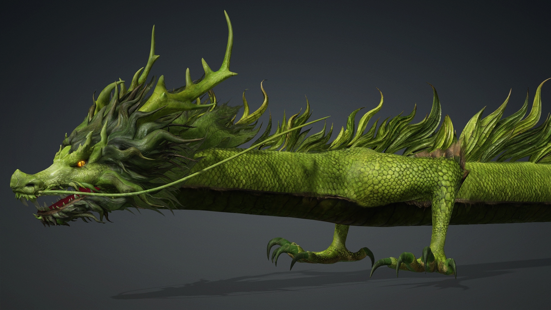 Verdanox Dragon-D5 3D Model