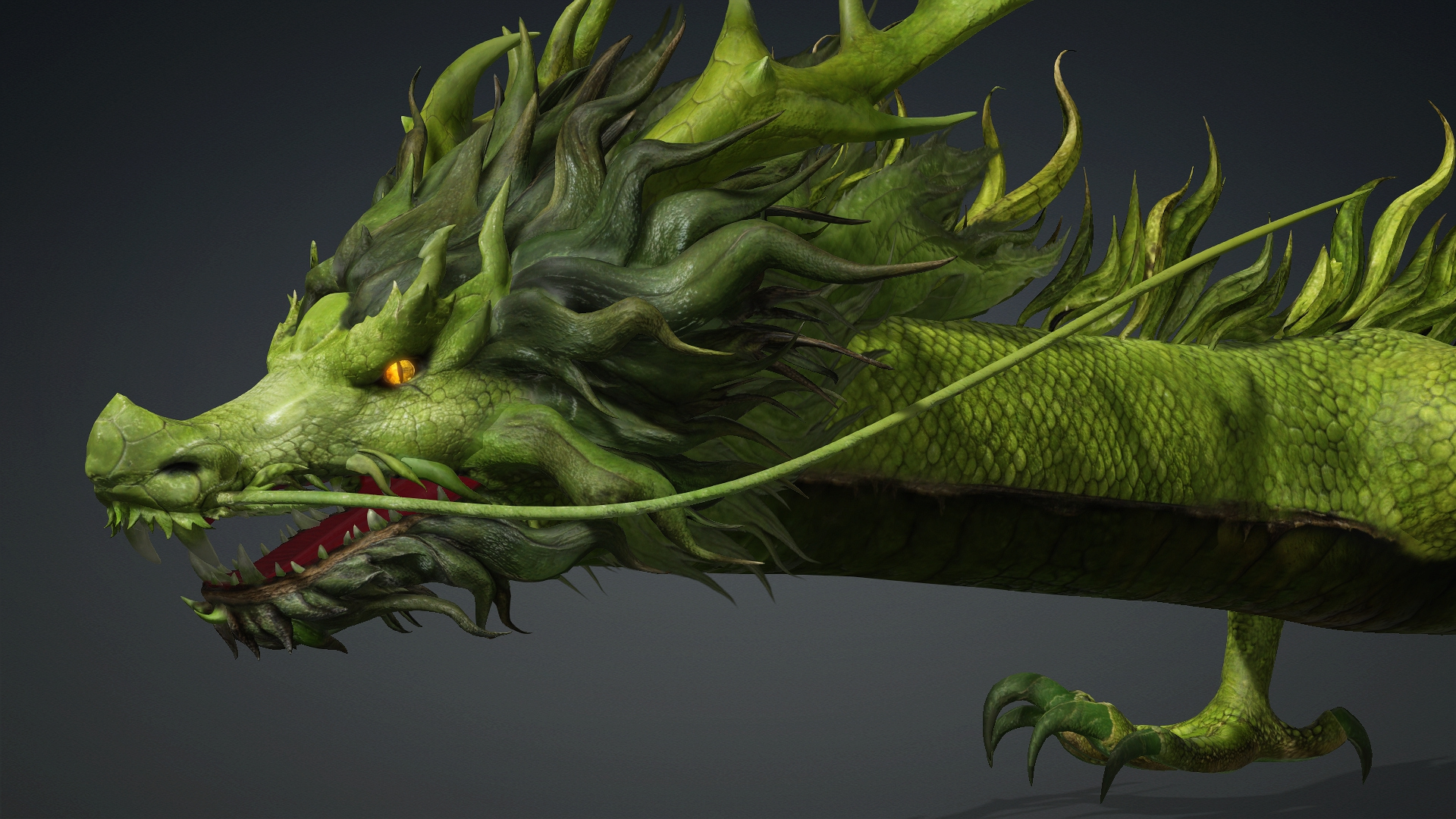Verdanox Dragon-D5 3D Model