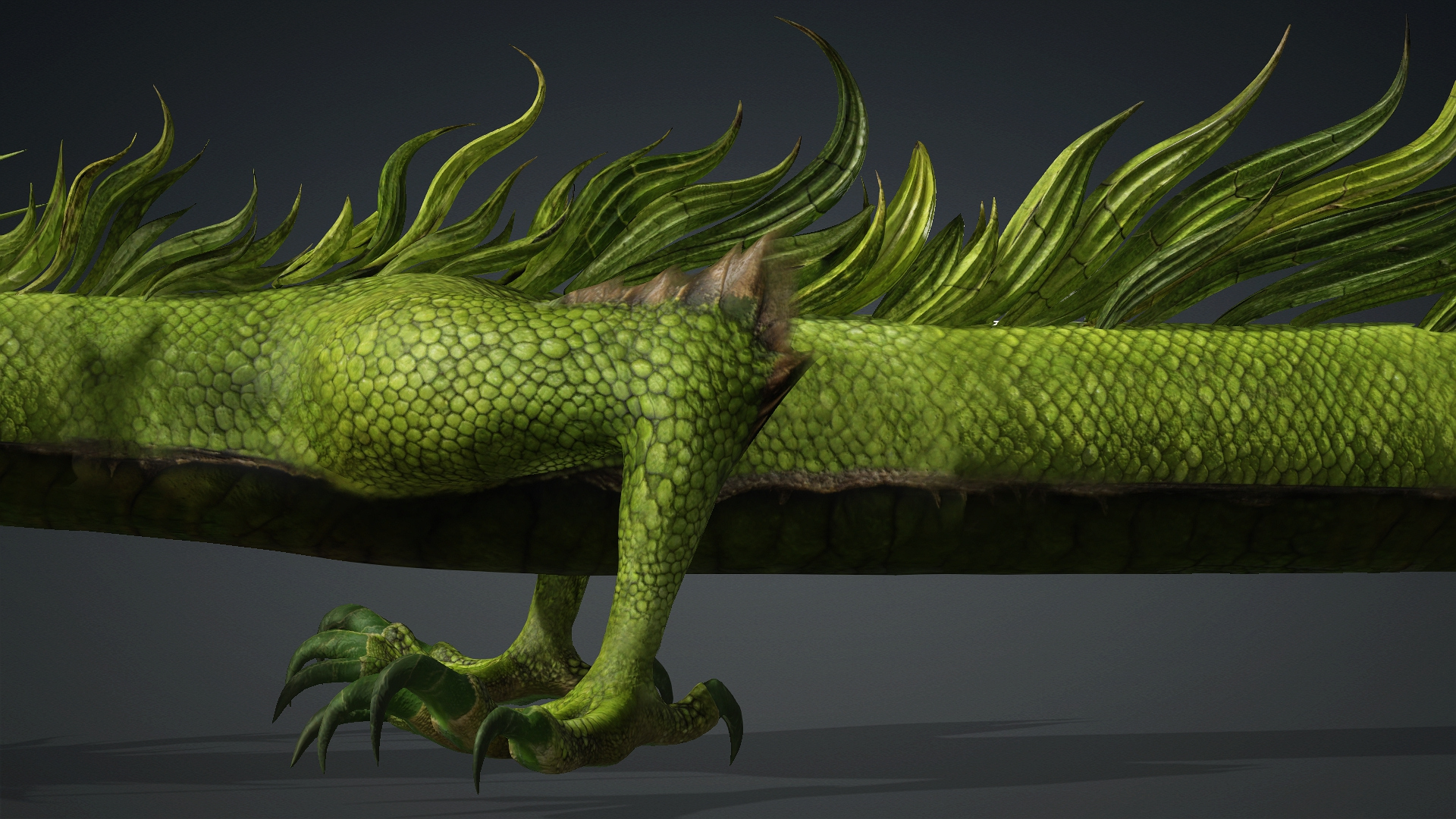 Verdanox Dragon-D5 3D Model