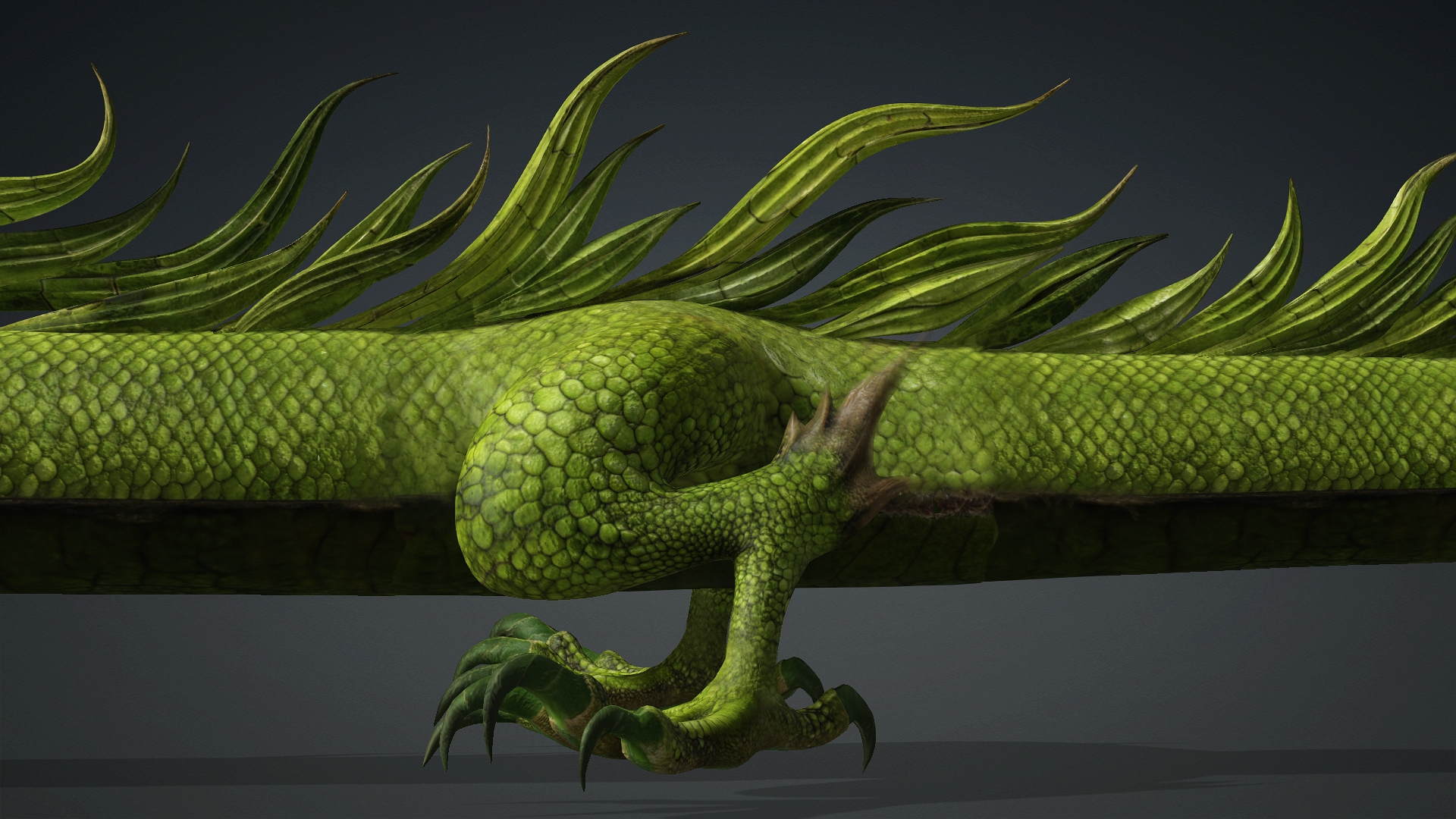 Verdanox Dragon-D5 3D Model
