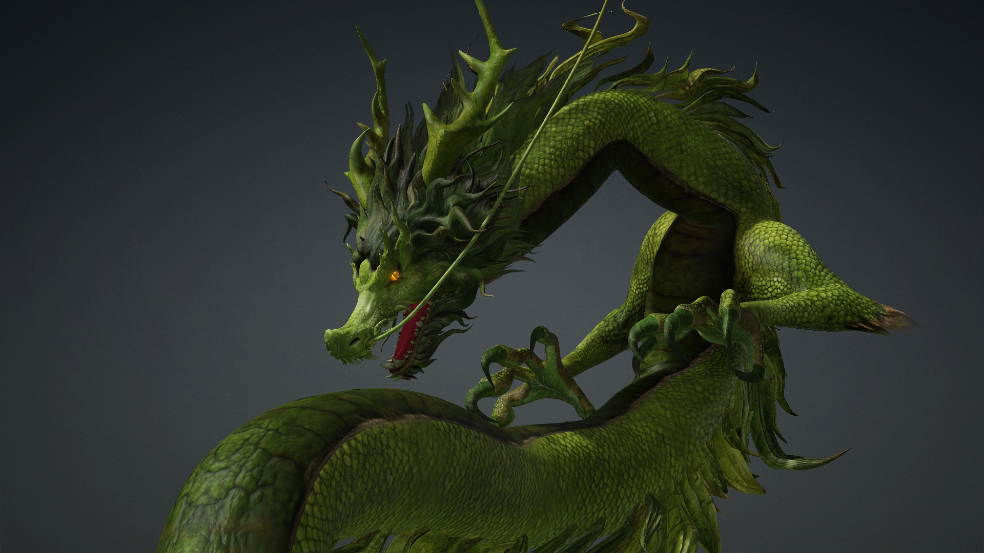Verdanox Dragon-D5 3D Model