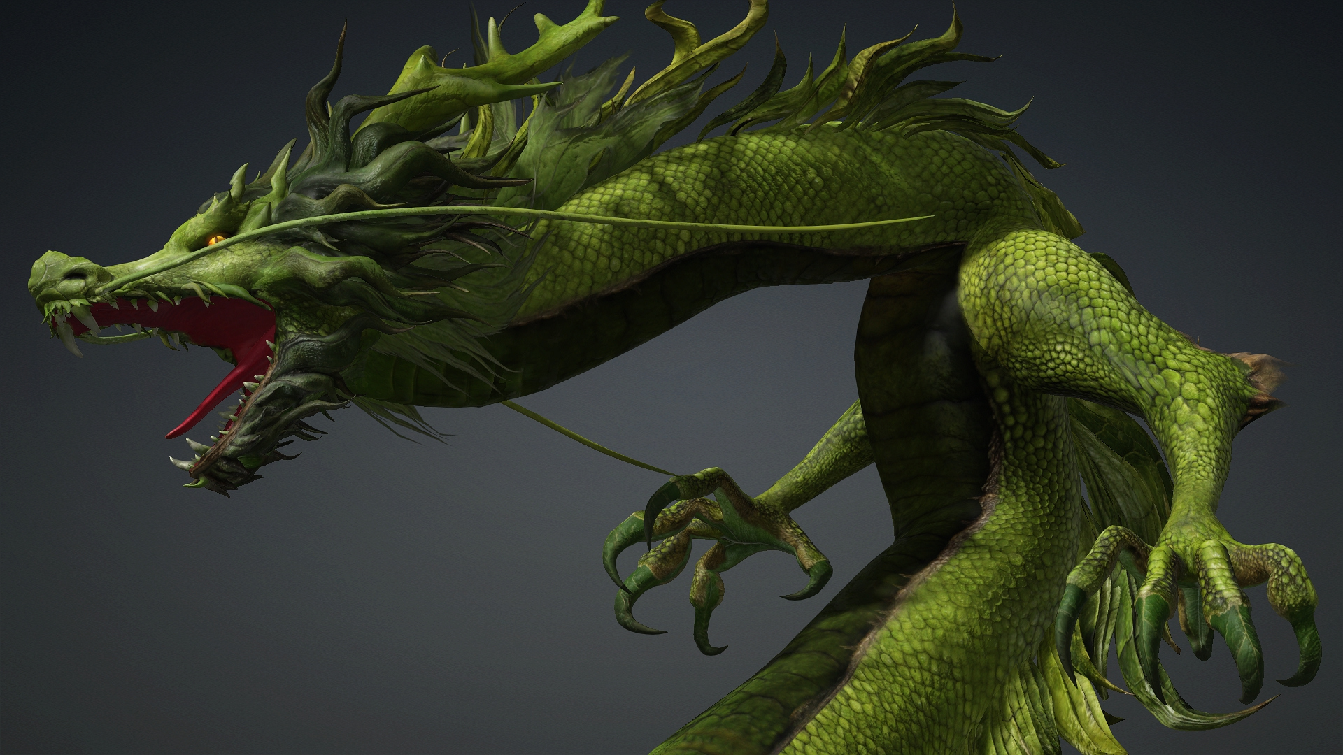 Verdanox Dragon-D5 3D Model