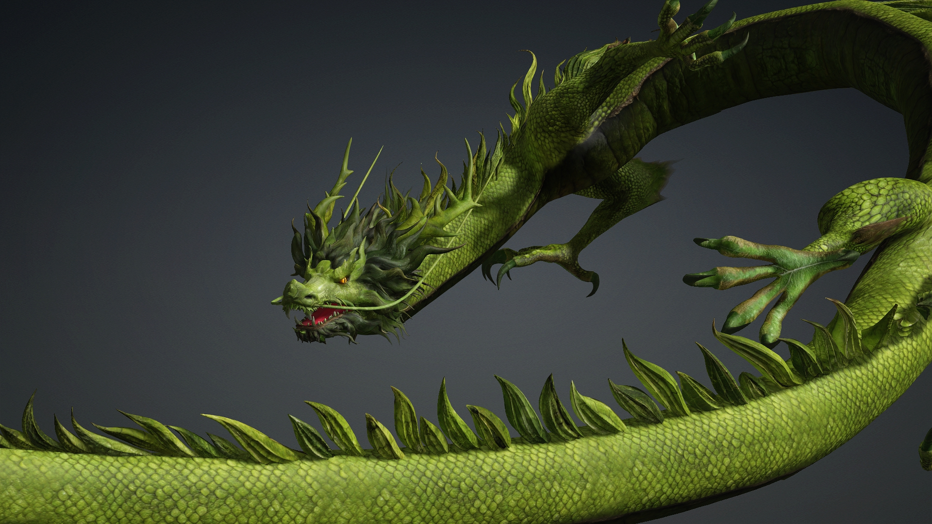 Verdanox Dragon-D5 3D Model