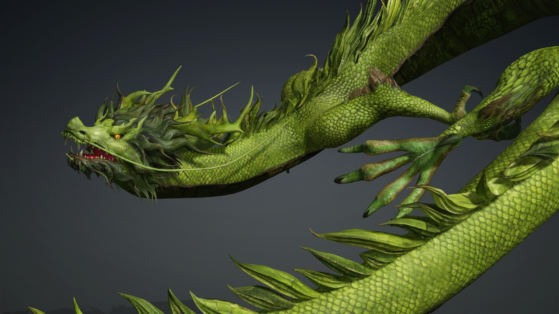 Verdanox Dragon-D5 3D Model