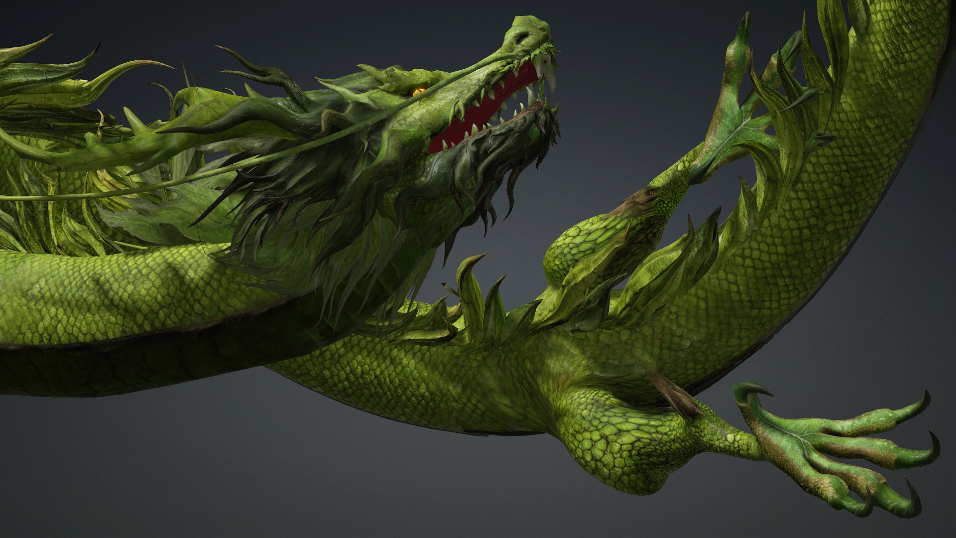 Verdanox Dragon-D5 3D Model