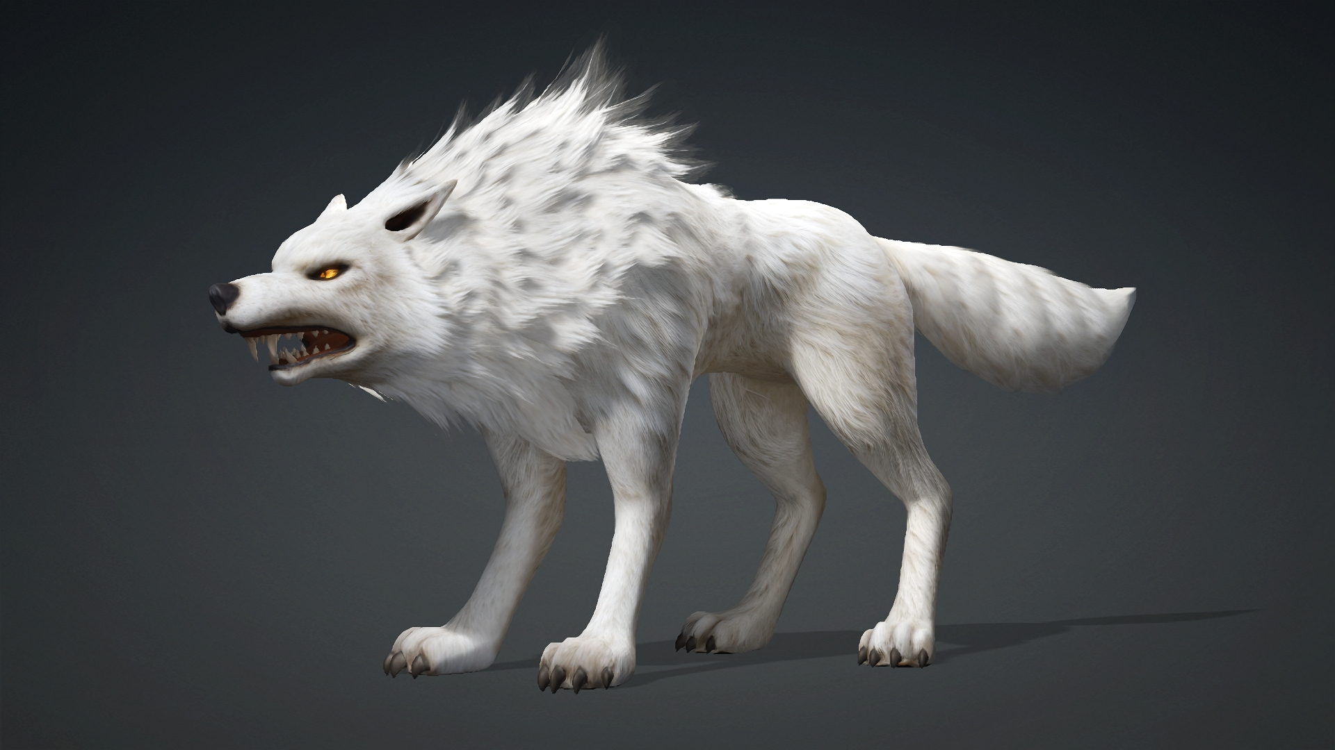 Wolf-C1-Animated 3D Model