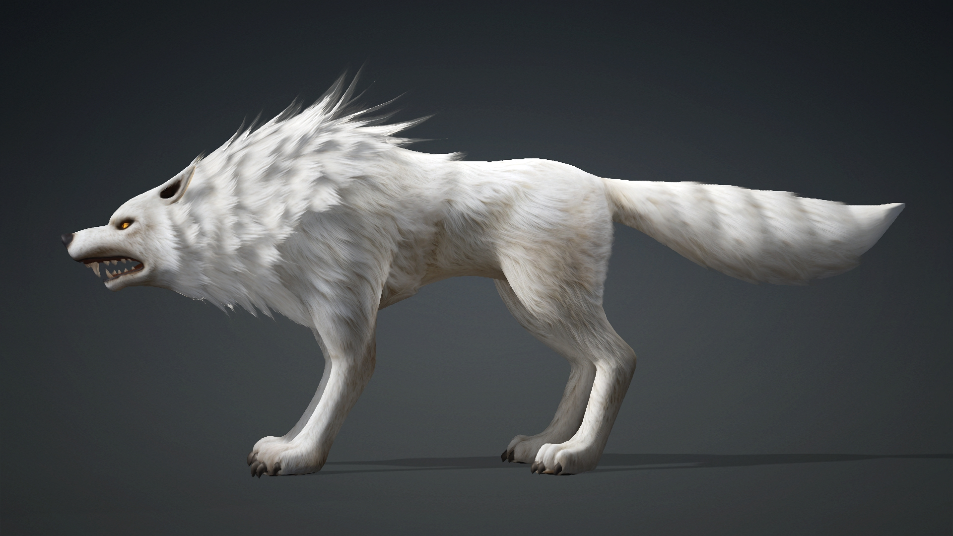 Wolf-C1-Animated 3D Model
