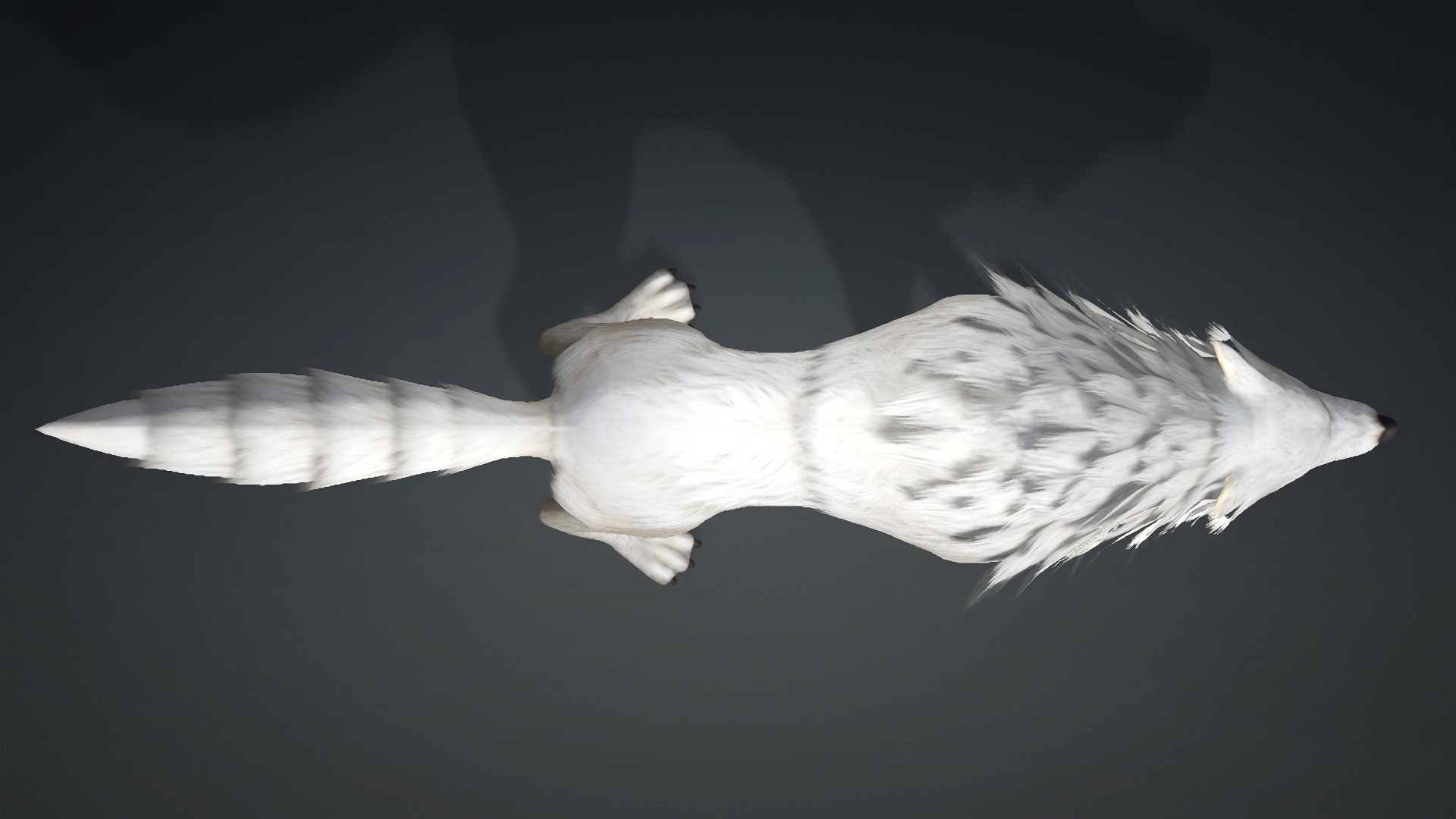 Wolf-C1-Animated 3D Model