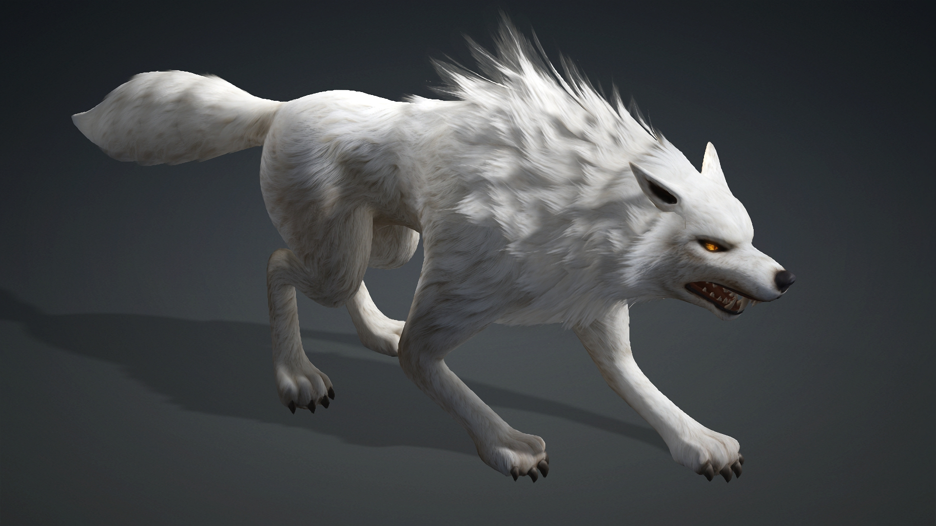 Wolf-C1-Animated 3D Model