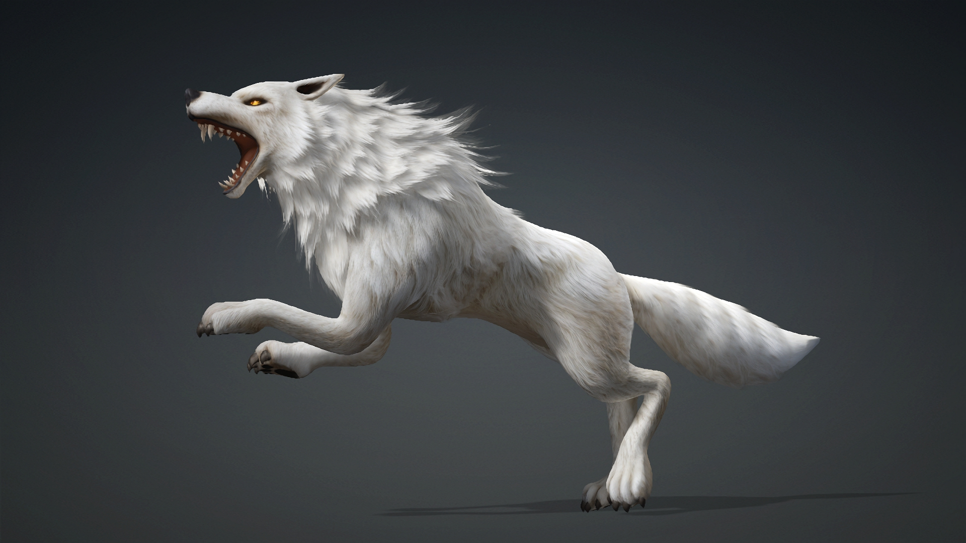 Wolf-C1-Animated 3D Model