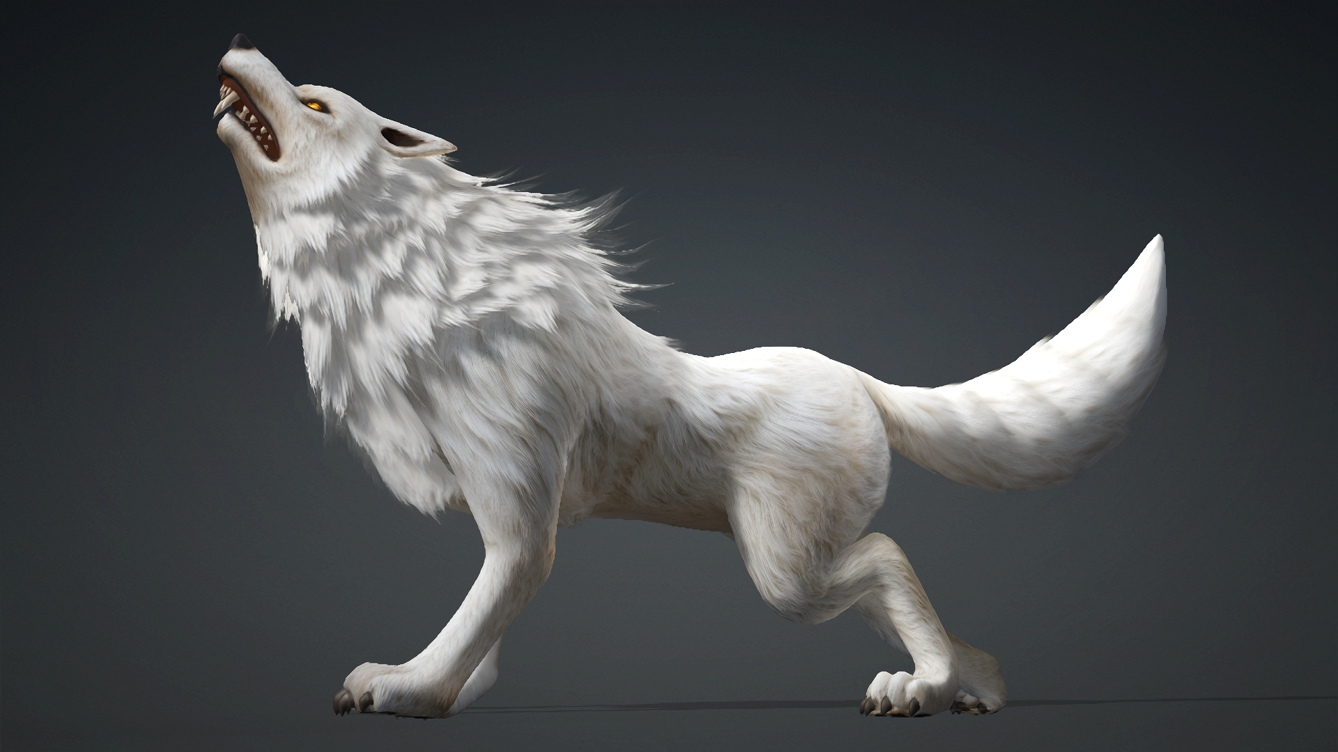 Wolf-C1-Animated 3D Model