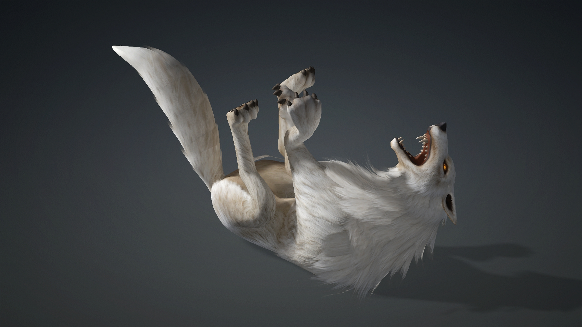 Wolf-C1-Animated 3D Model