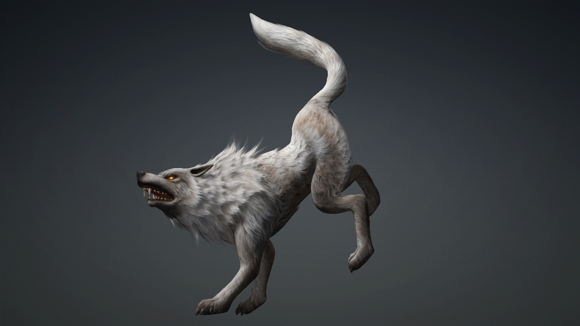 Wolf-C2-Animated 3D Model