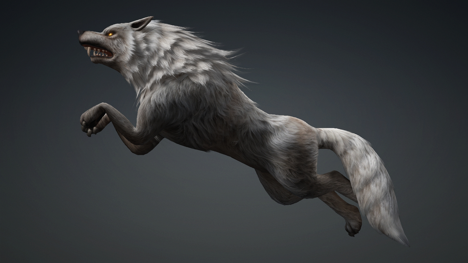 Wolf-C2-Animated 3D Model