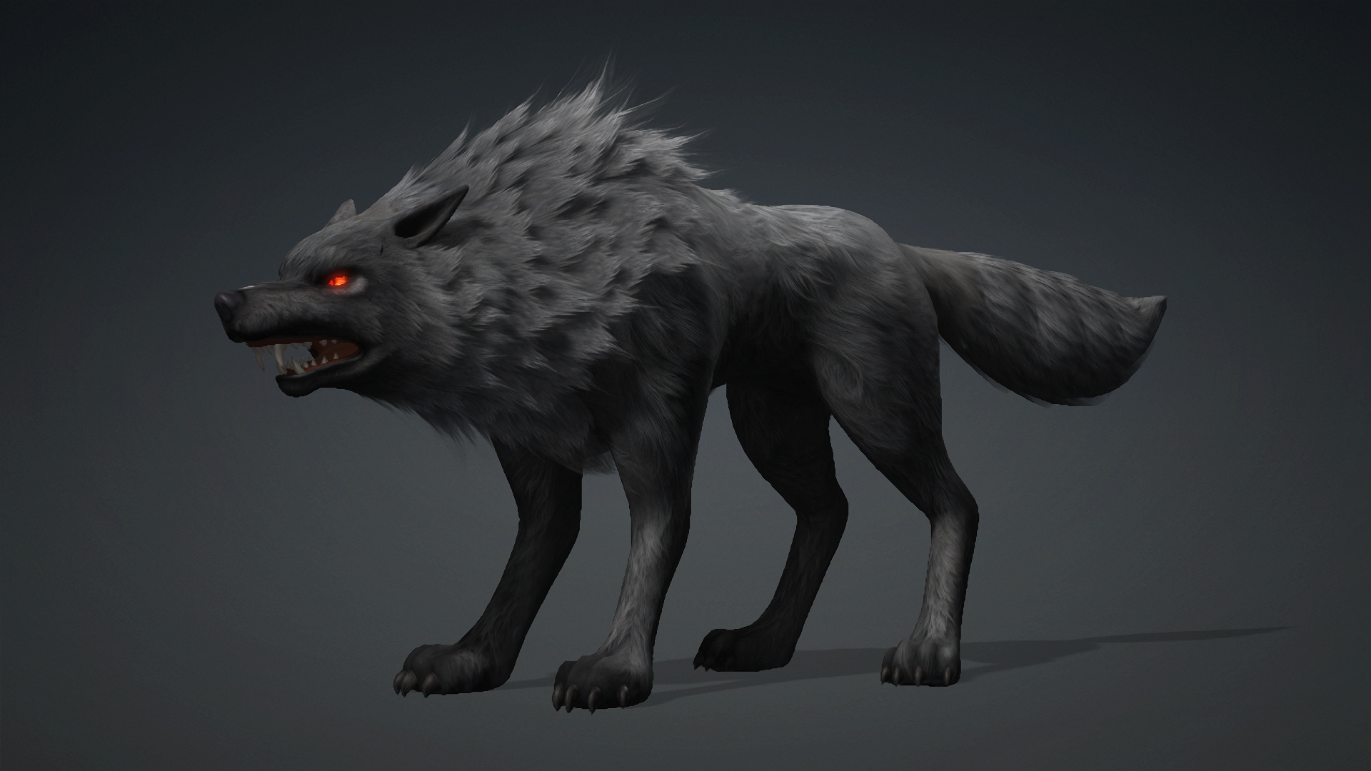 Wolf-C3-Animated 3D Model