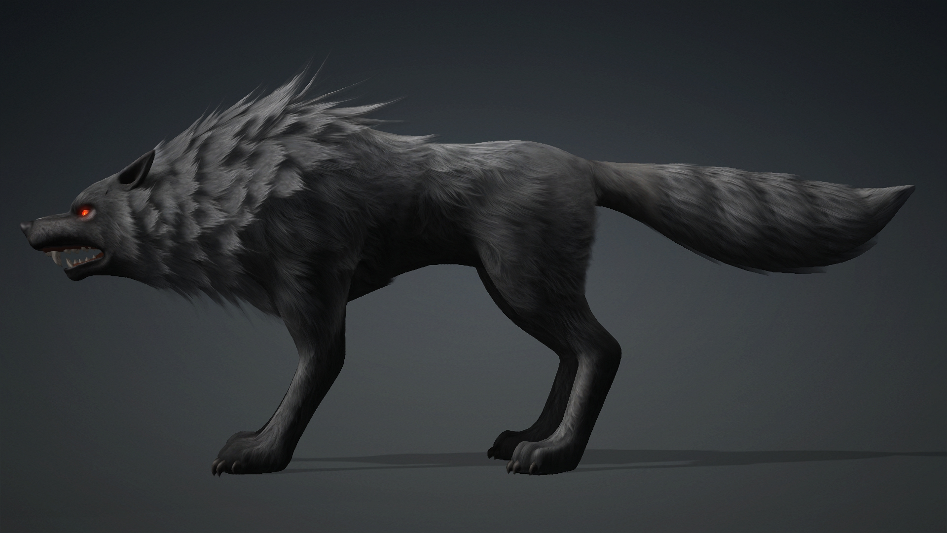 Wolf-C3-Animated 3D Model