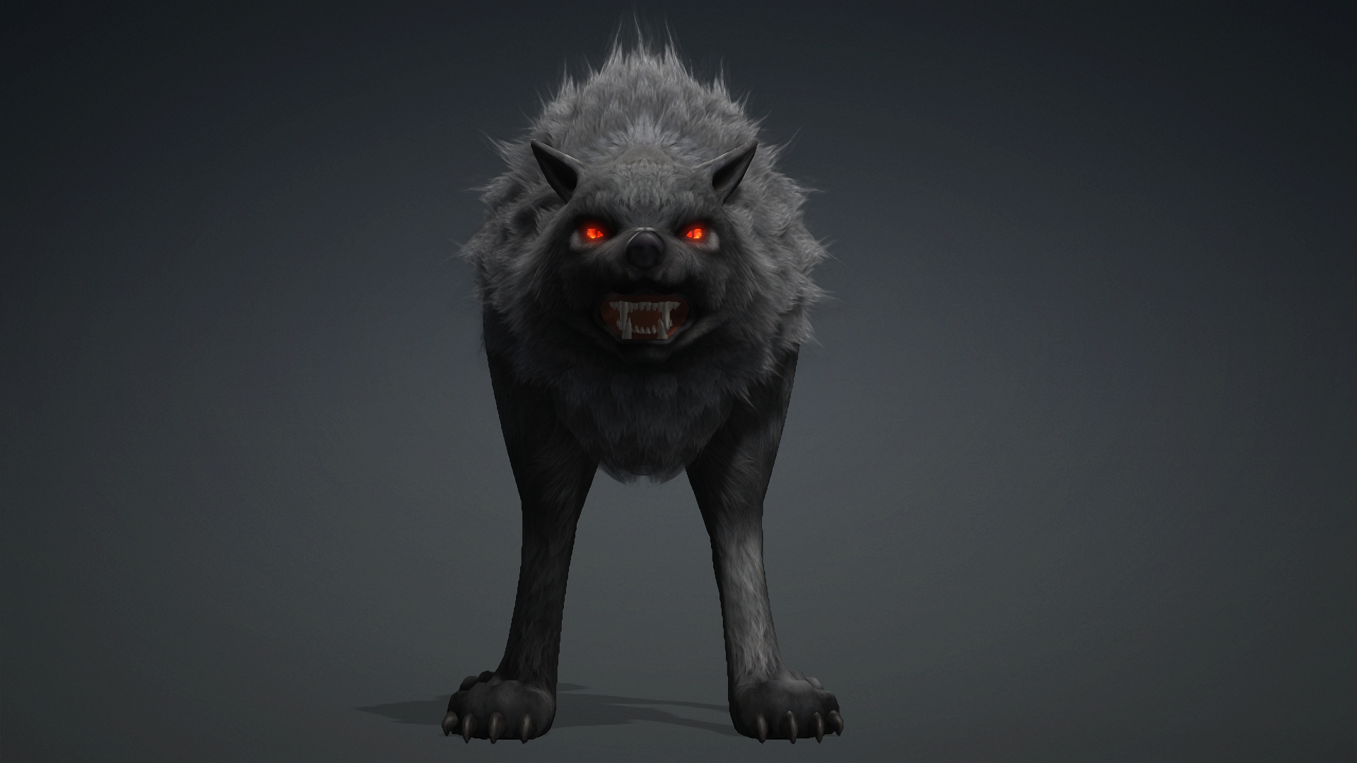 Wolf-C3-Animated 3D Model