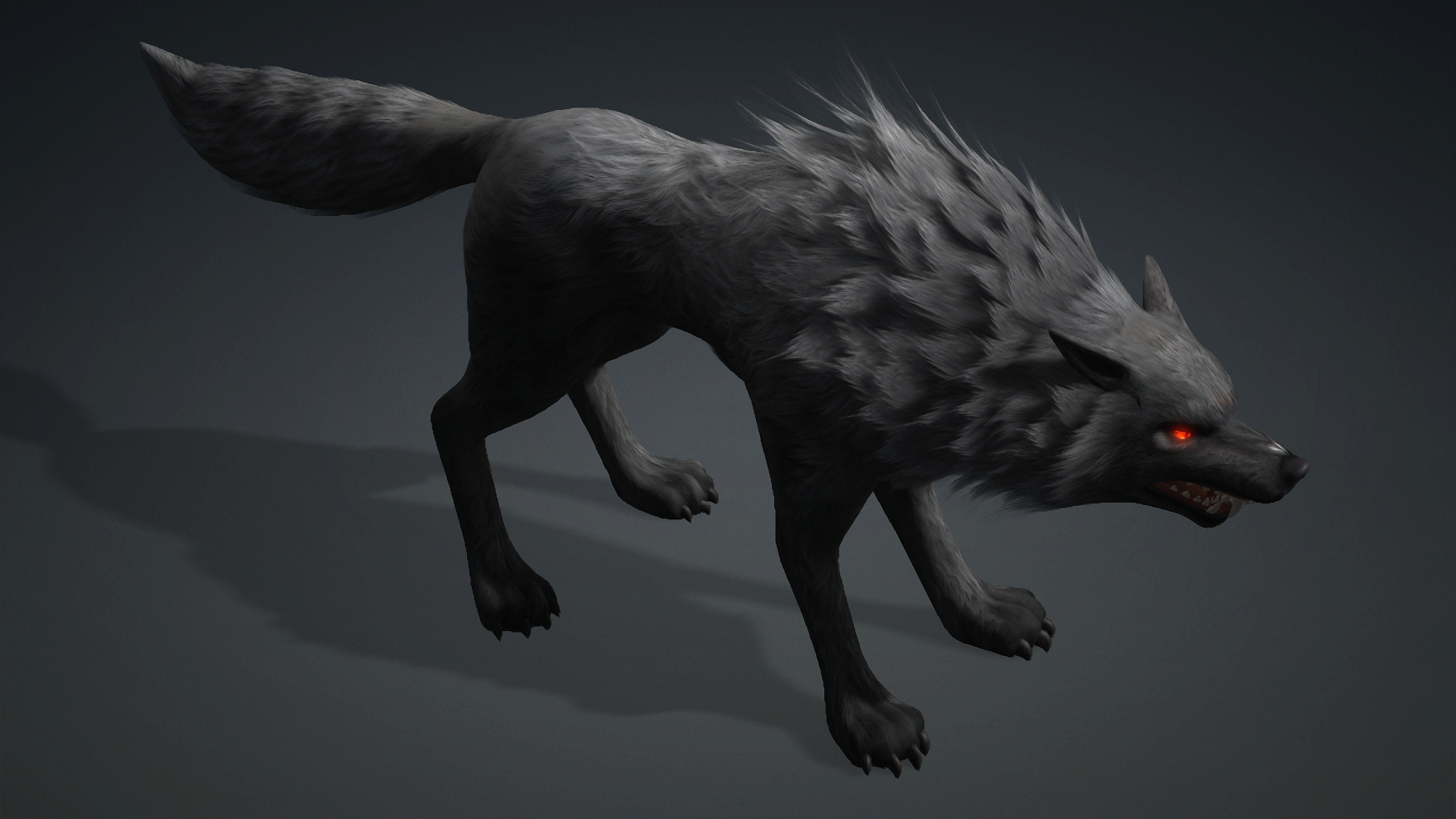 Wolf-C3-Animated 3D Model