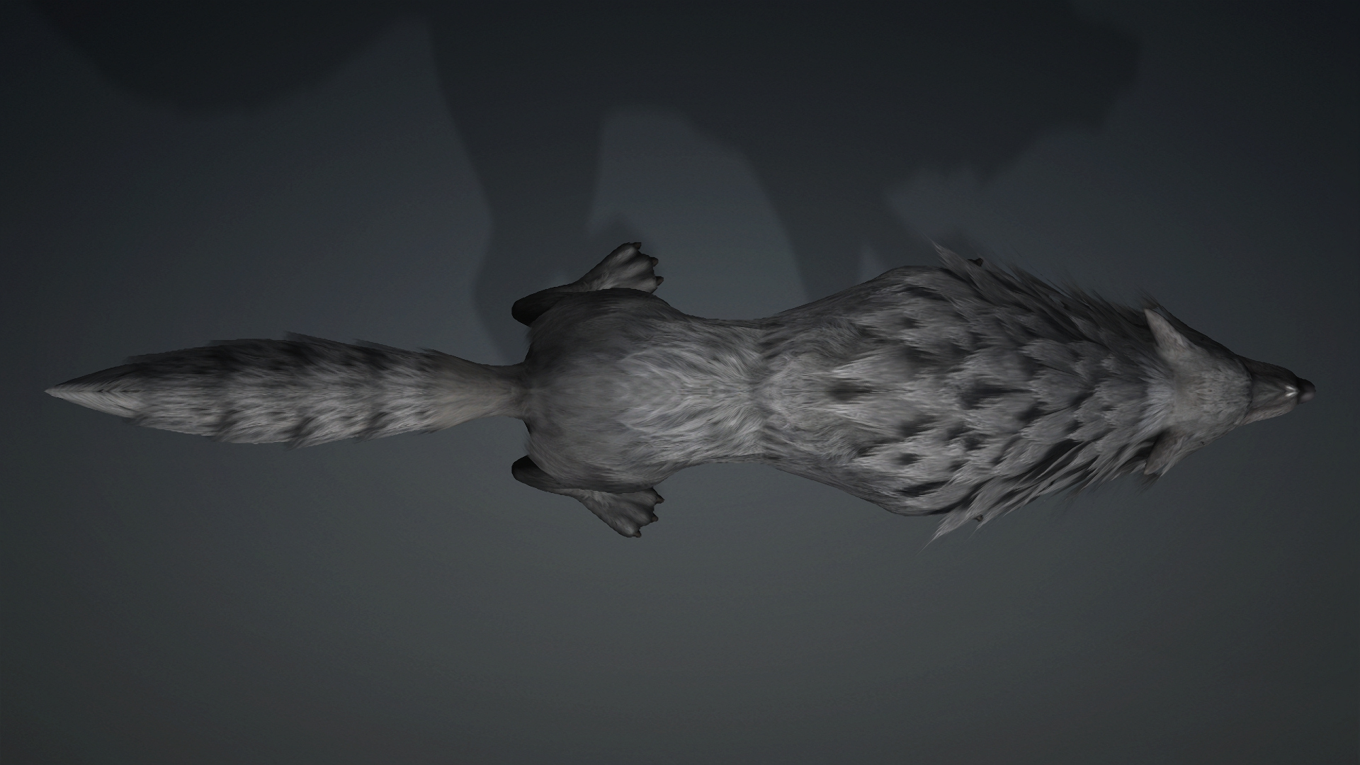 Wolf-C3-Animated 3D Model
