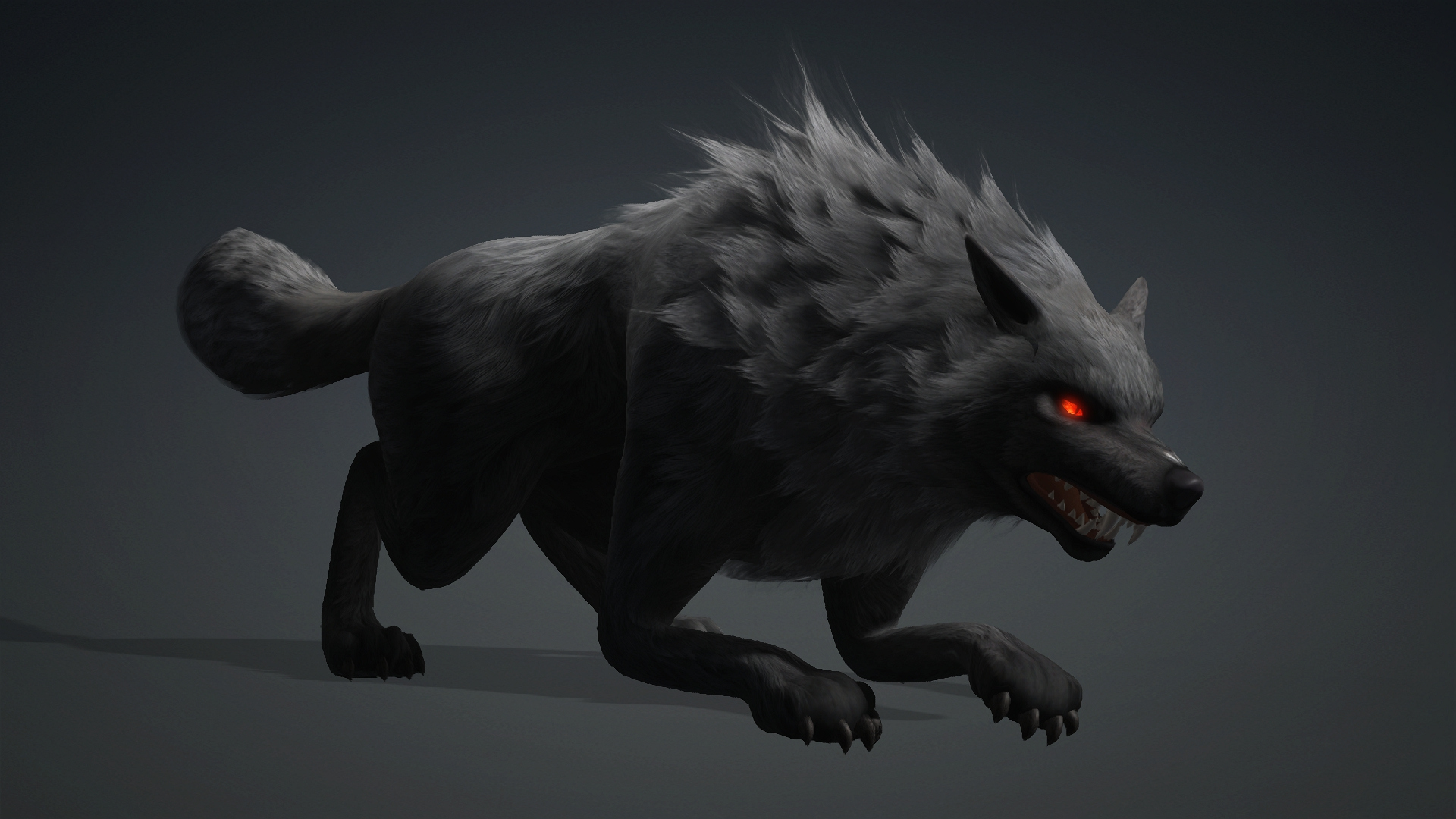 Wolf-C3-Animated 3D Model