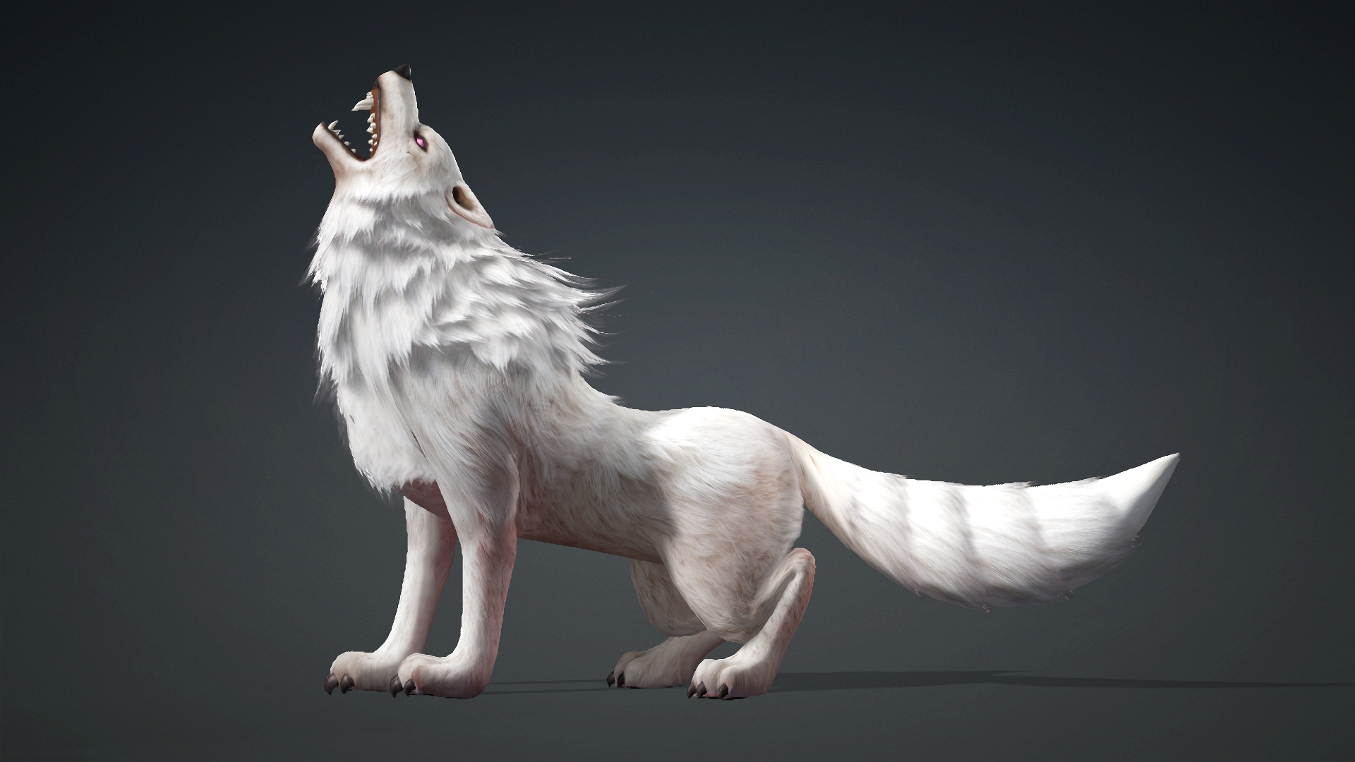 Wolf-C4-Animated 3D Model