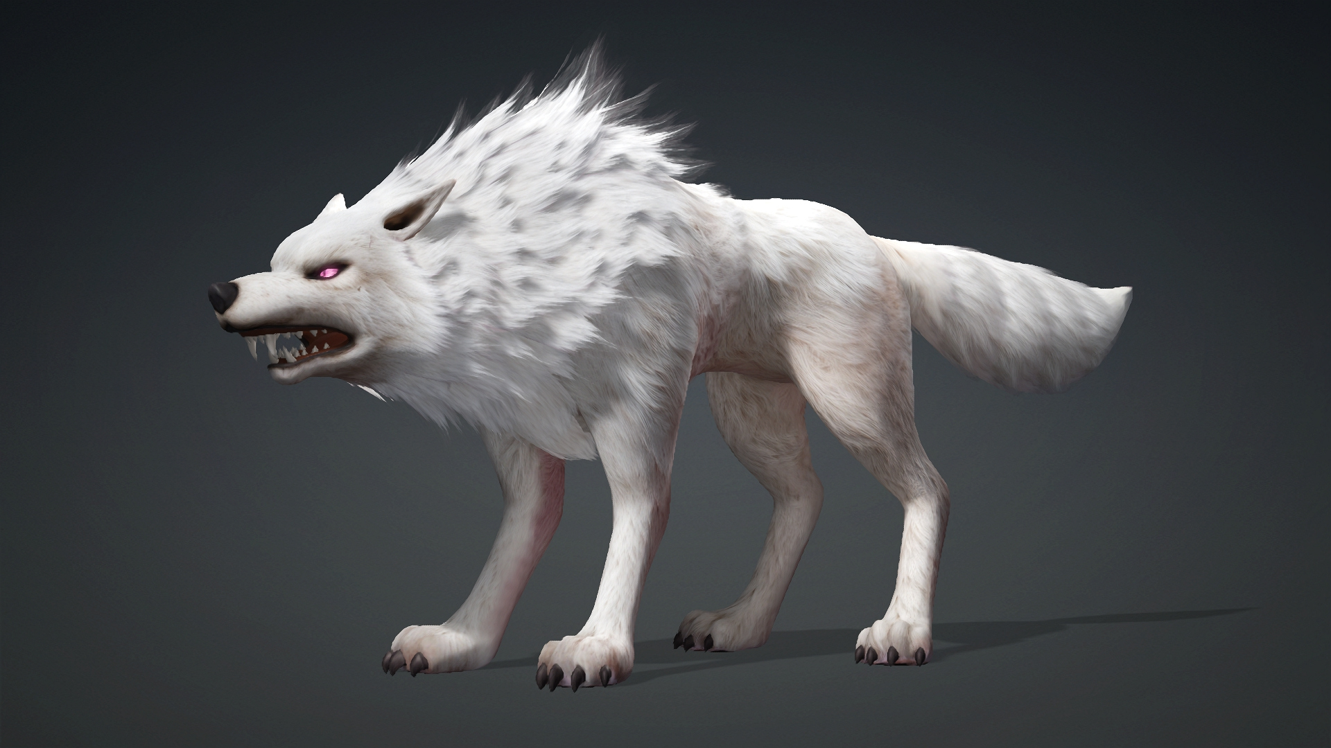 Wolf-C4-Animated 3D Model