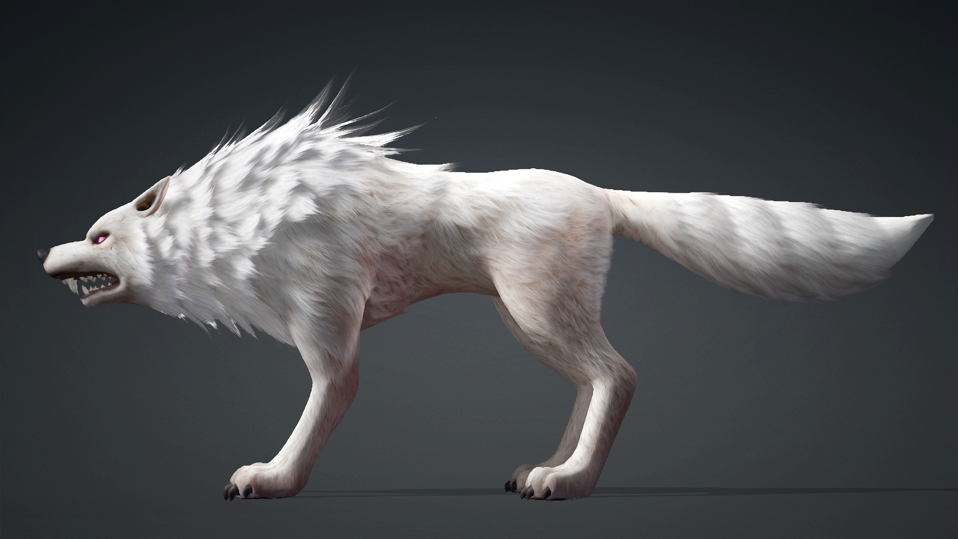 Wolf-C4-Animated 3D Model