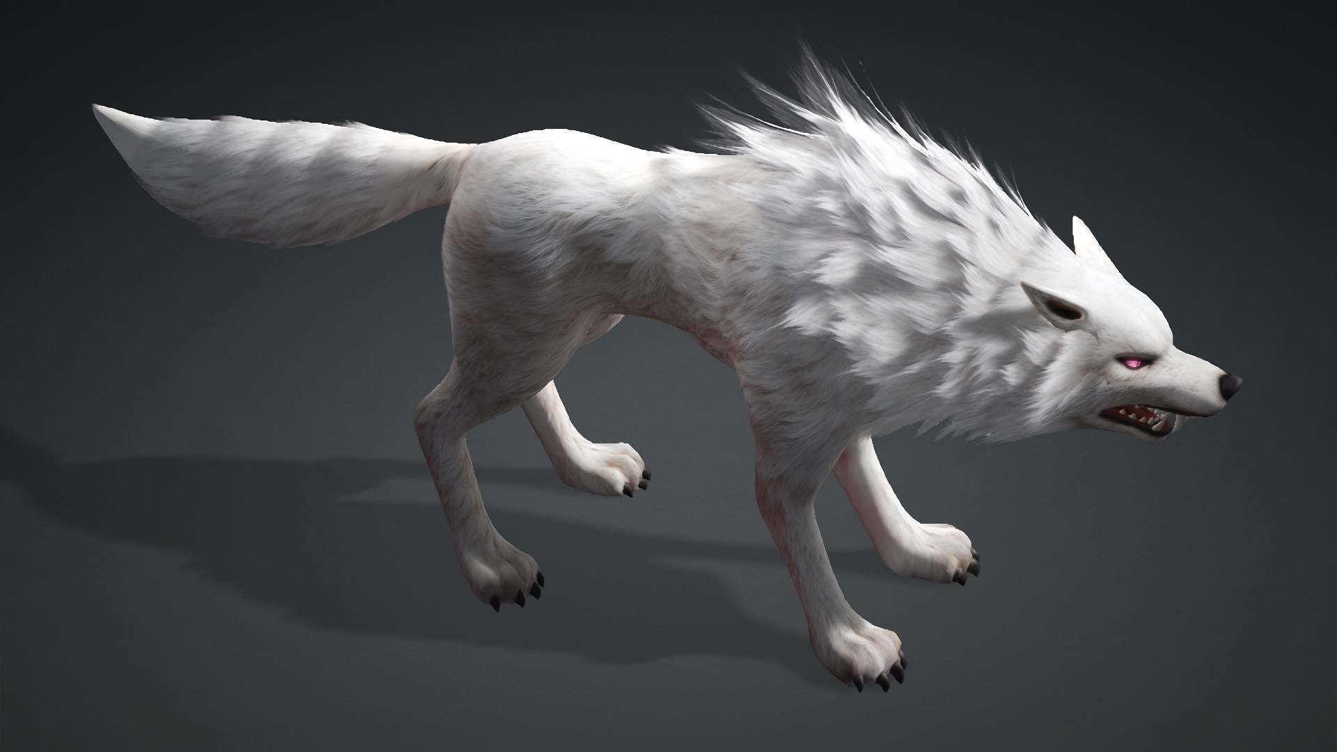 Wolf-C4-Animated 3D Model