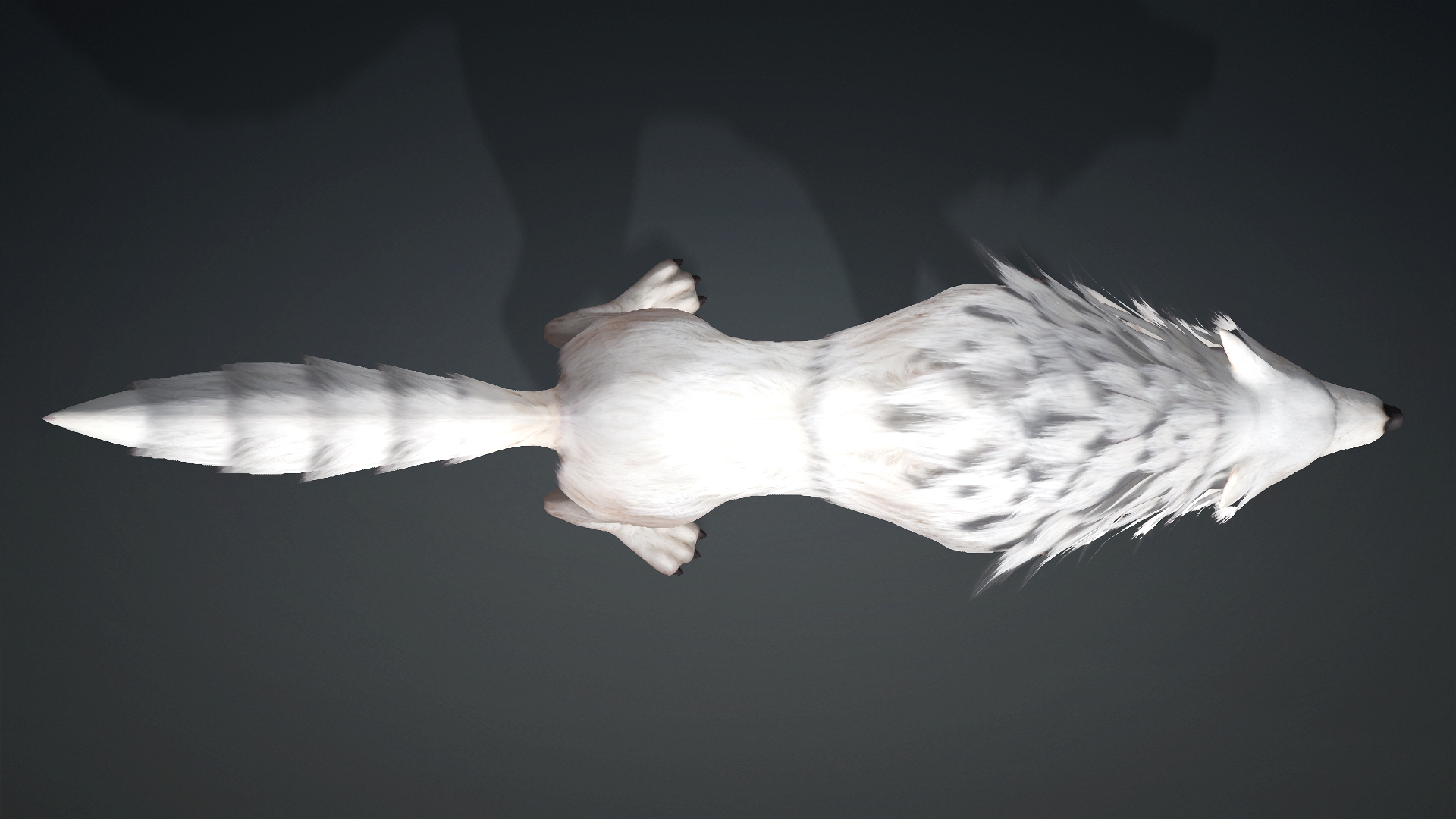 Wolf-C4-Animated 3D Model