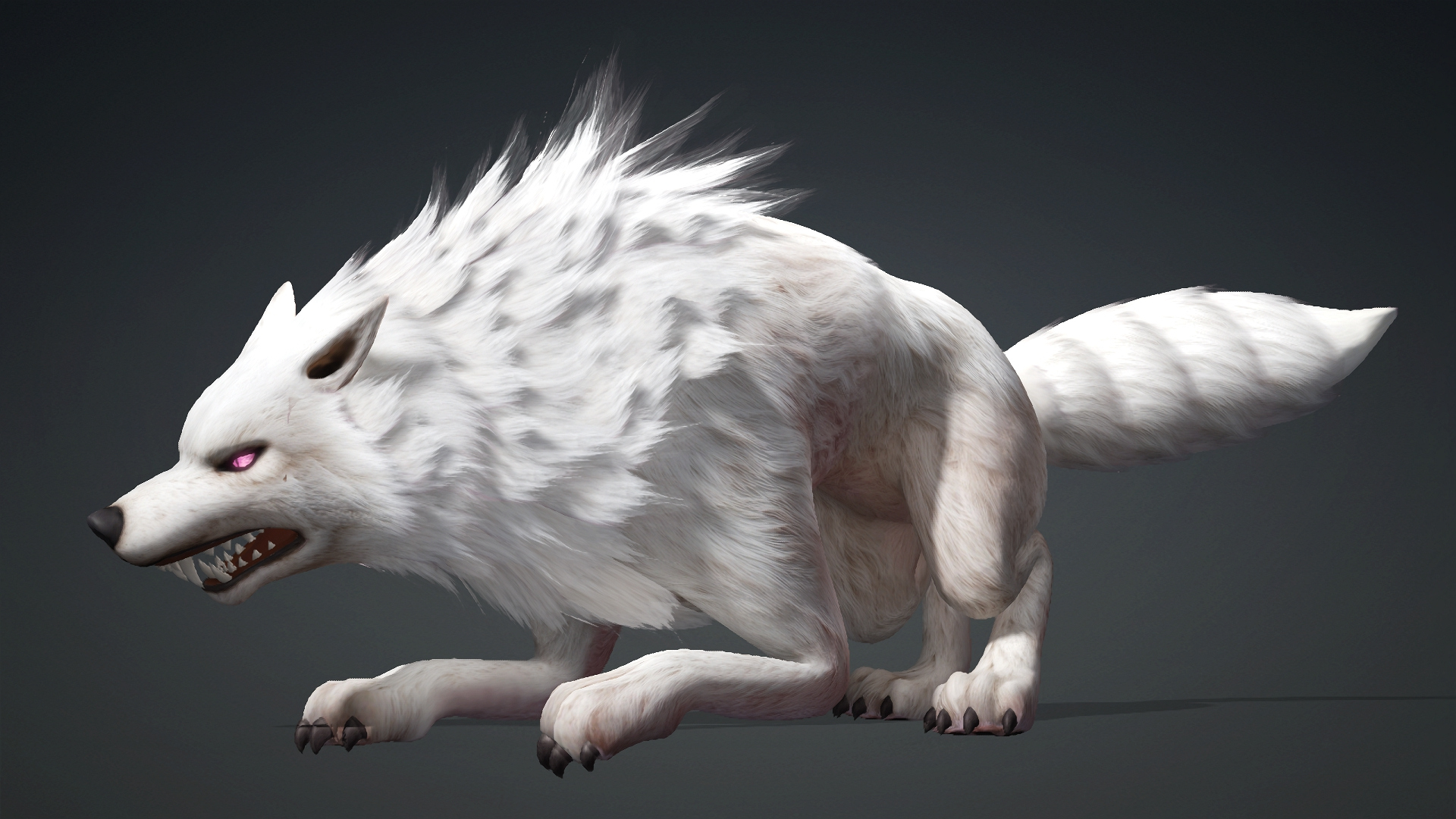 Wolf-C4-Animated 3D Model